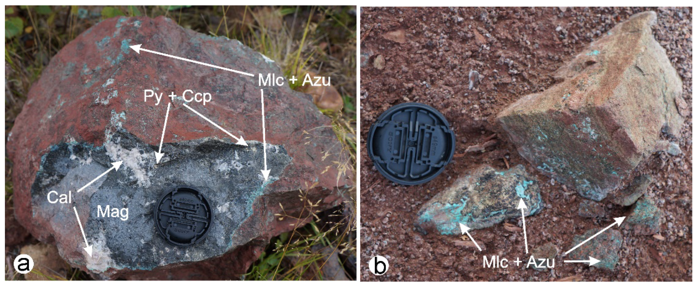 Sustainability 16 01795 g004