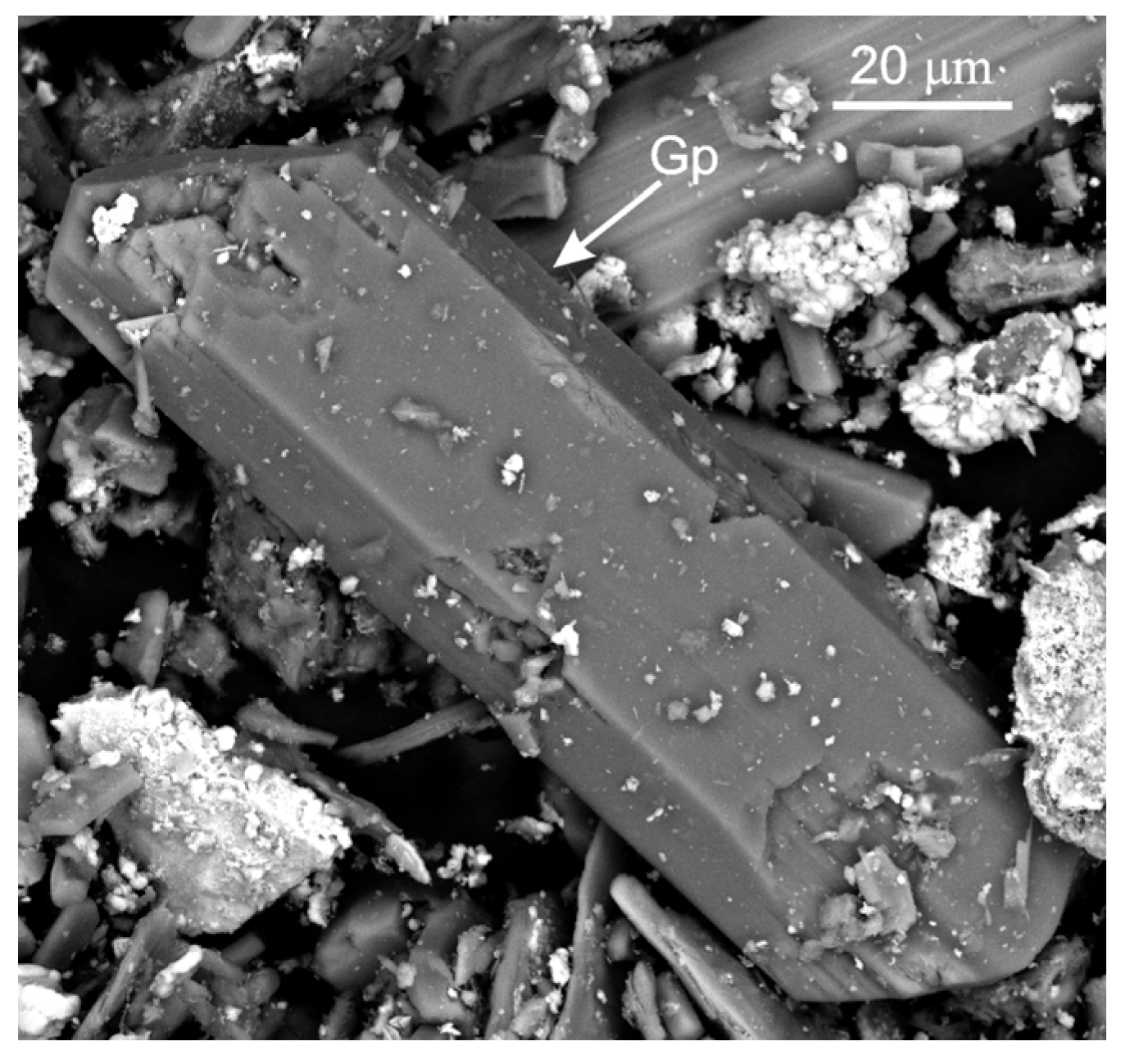 Sustainability 16 01795 g005