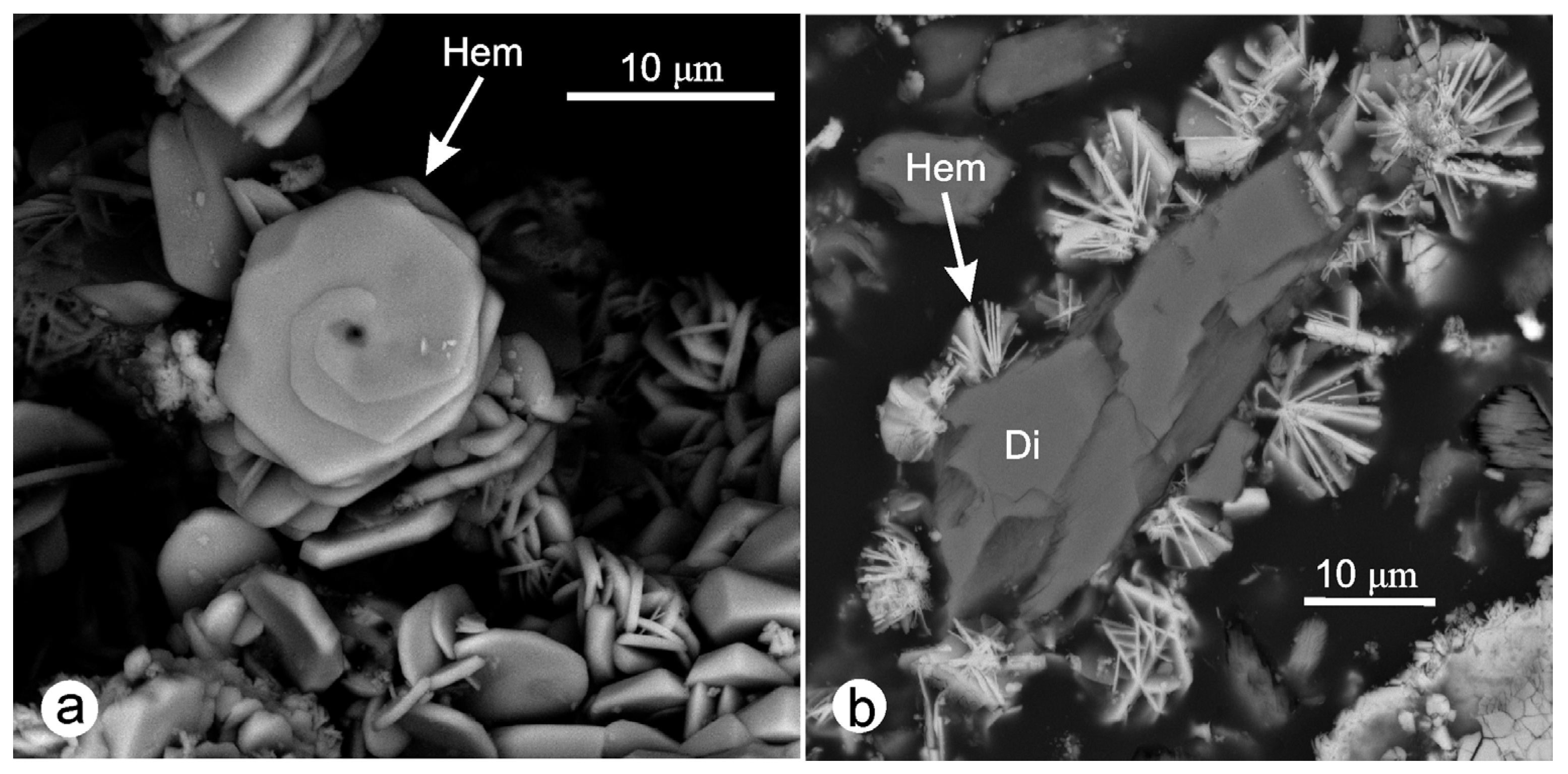 Sustainability 16 01795 g006