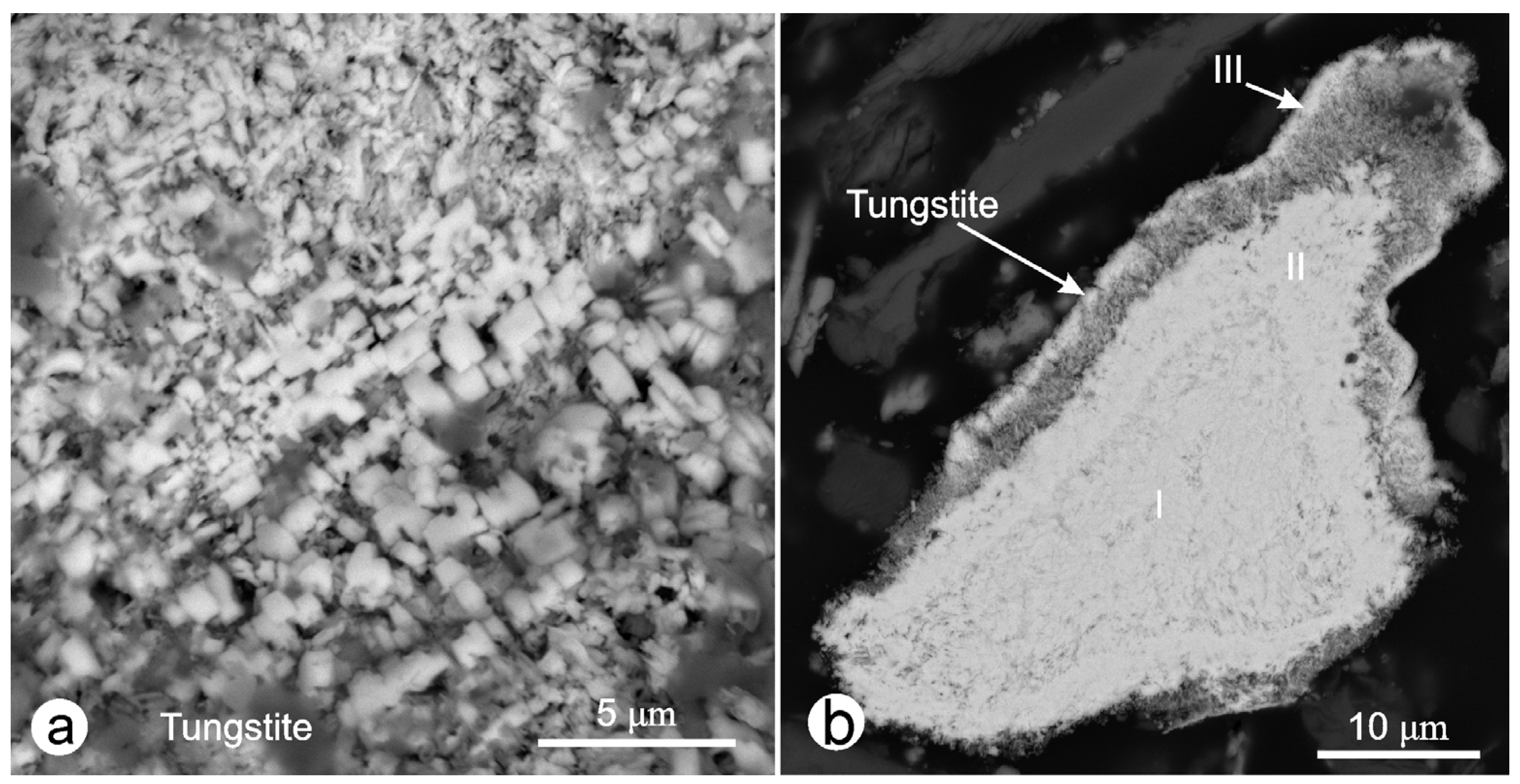 Sustainability 16 01795 g008