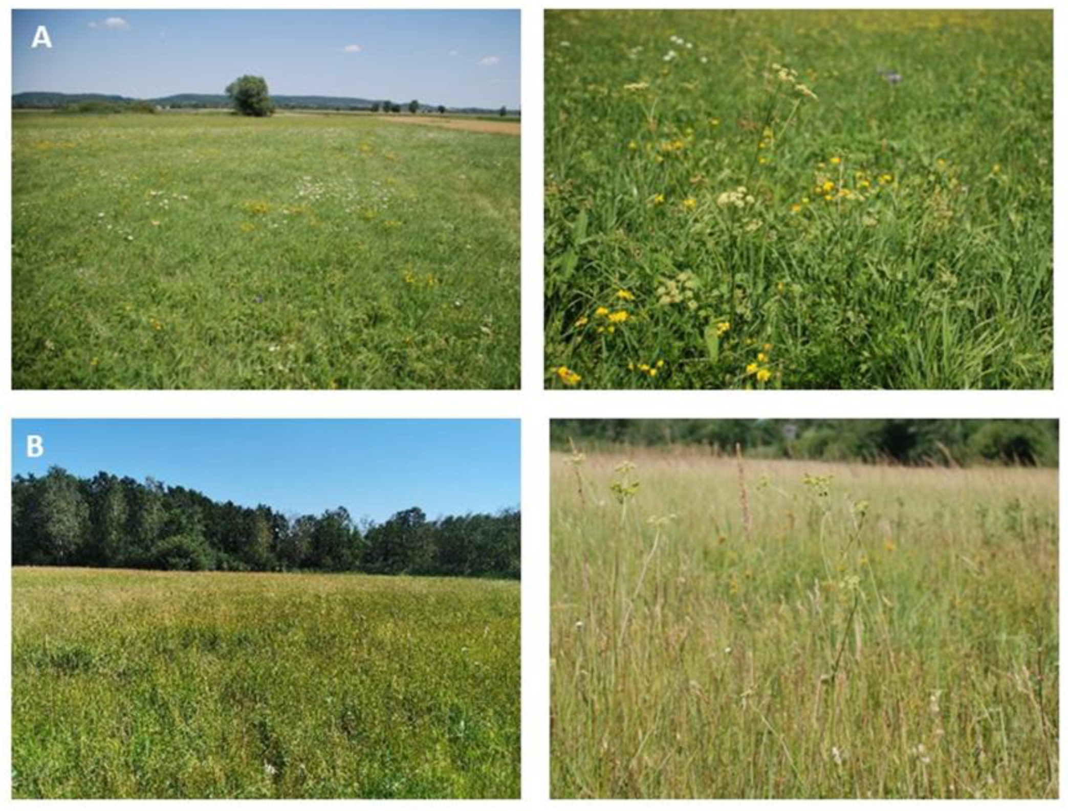 Sustainability 16 01844 g002 Sustainability 16 01844 g002