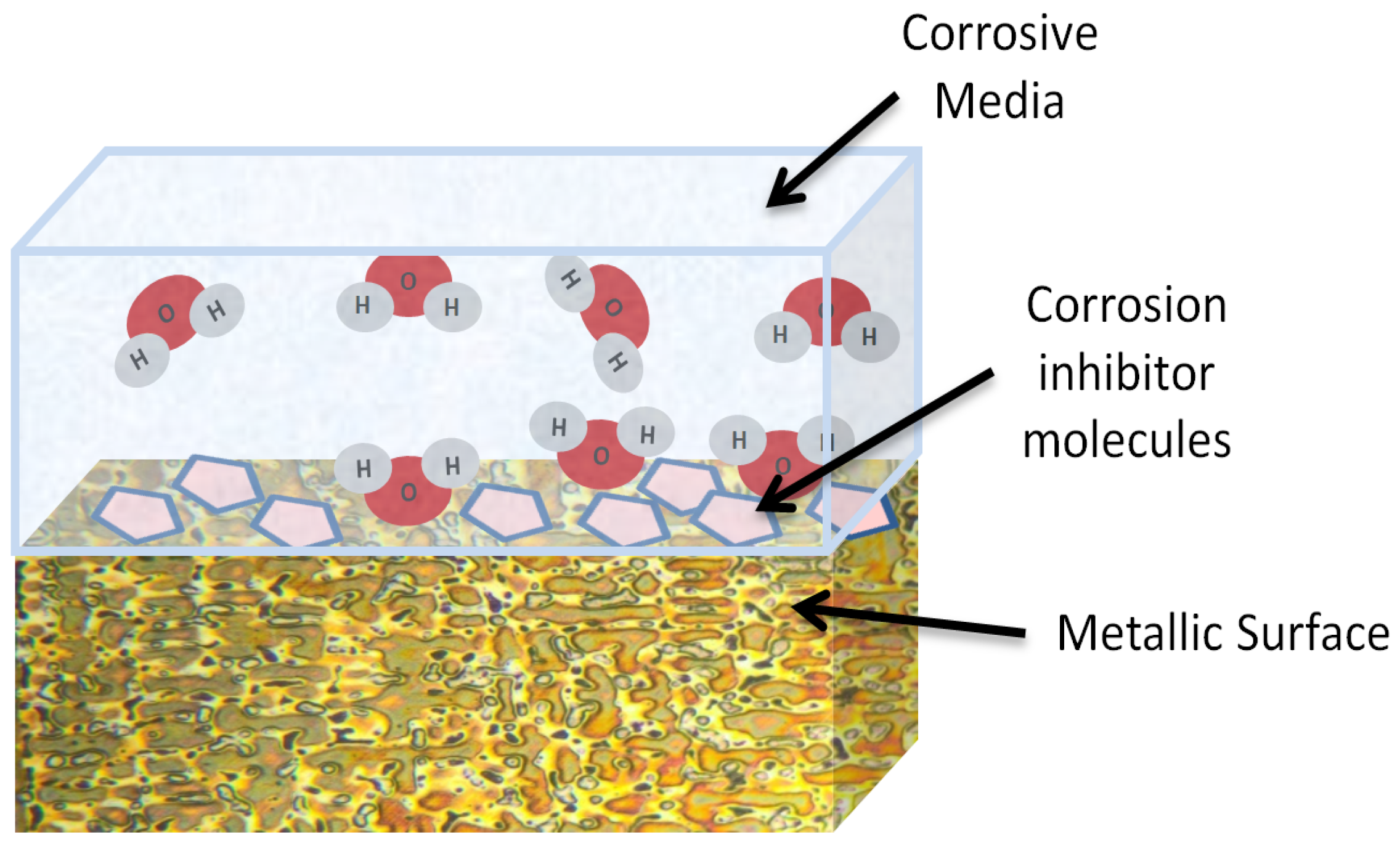 Sustainability 16 01868 g001 Sustainability 16 01868 g001