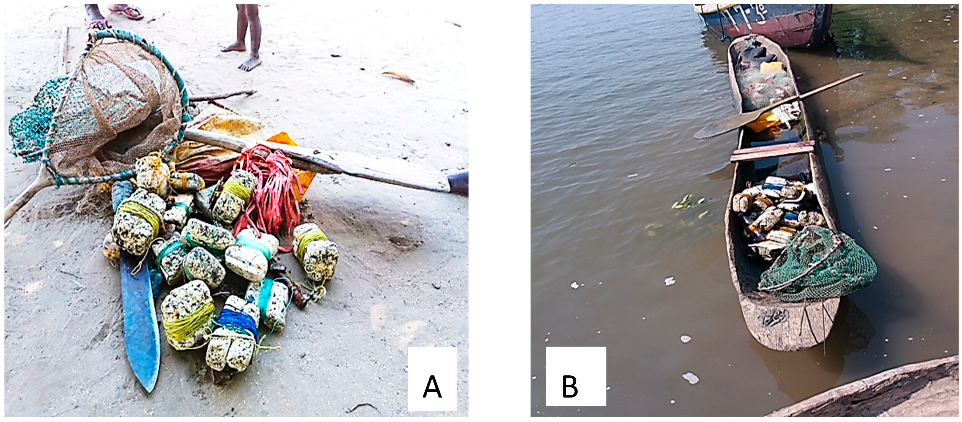 Sustainability 16 01874 g002 Sustainability 16 01874 g002