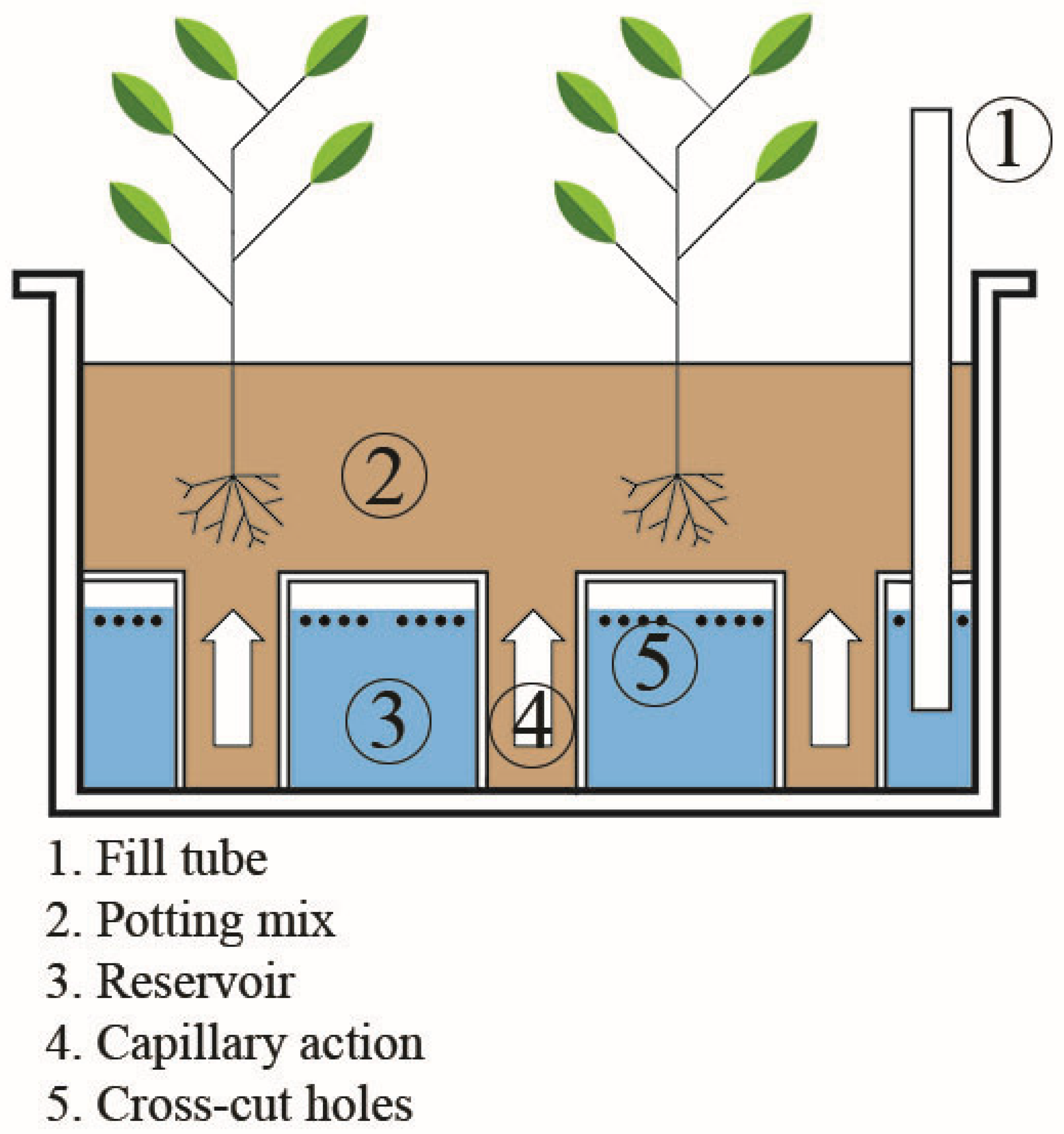 Sustainability 16 01881 g006