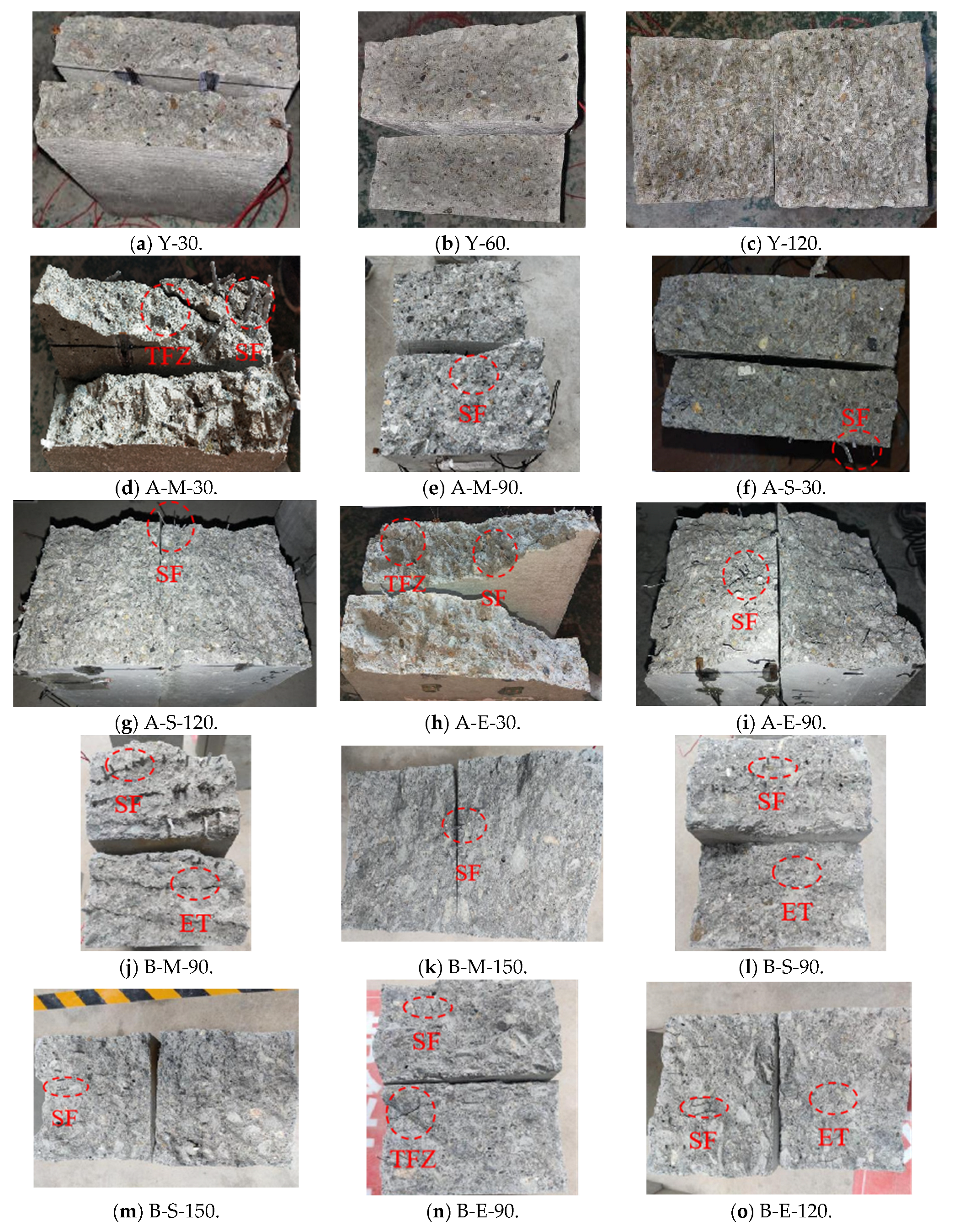 Sustainability 16 01900 g012