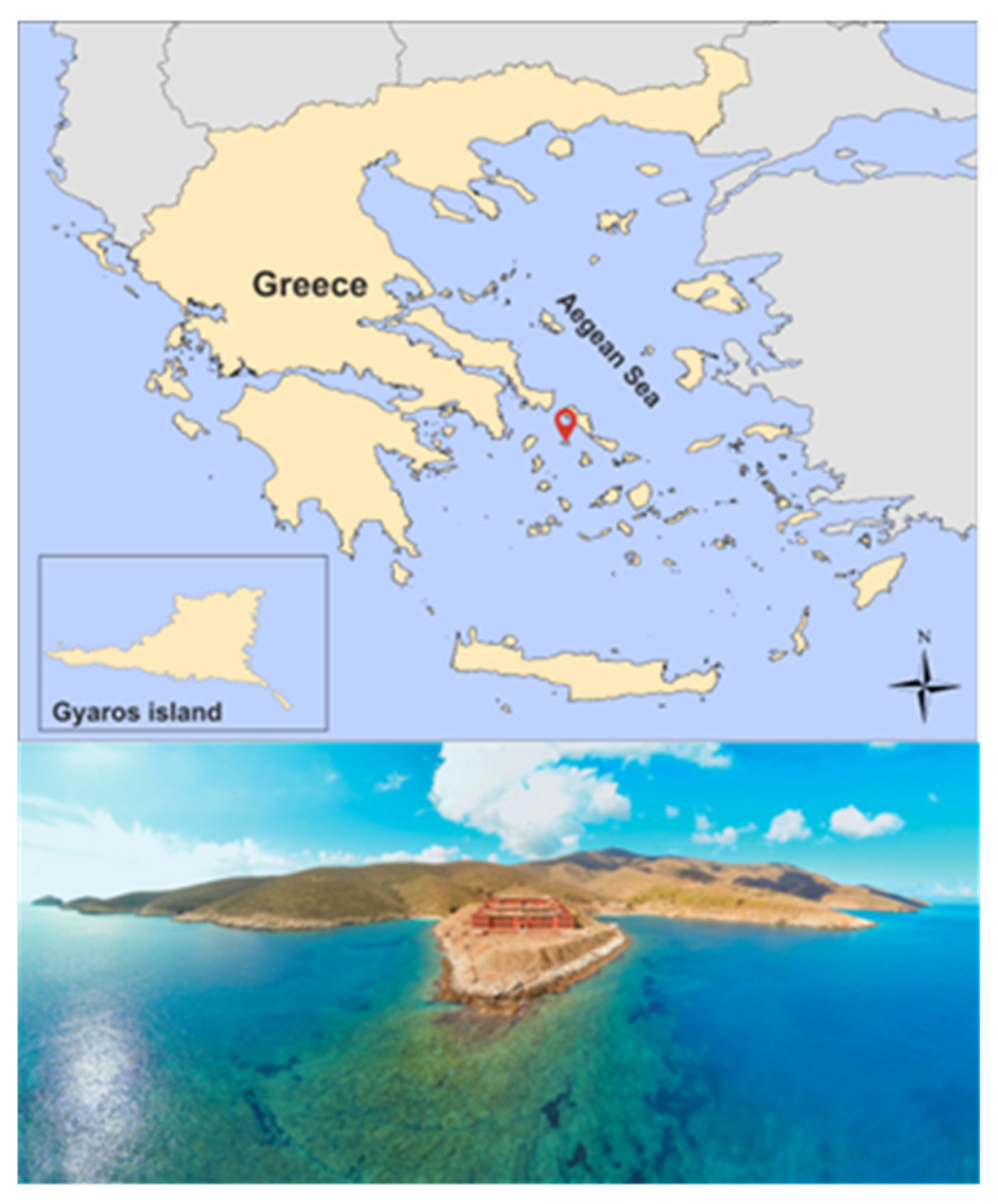 Sustainability 16 01918 g001