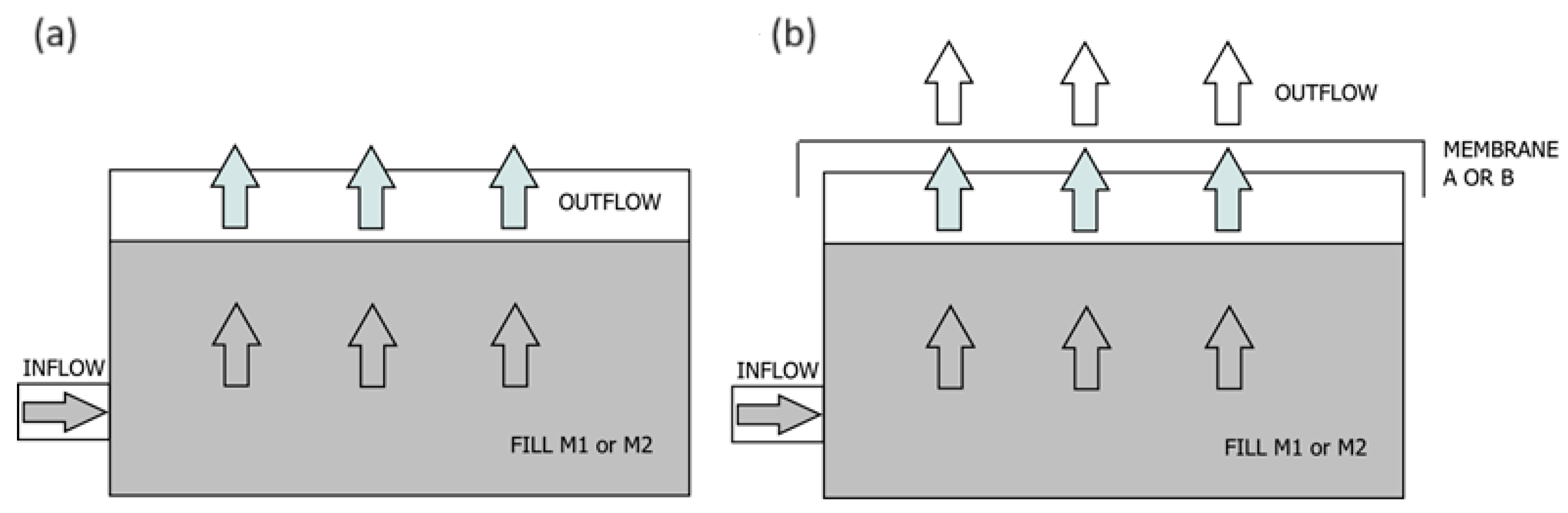 Sustainability 16 01939 g001 Sustainability 16 01939 g001