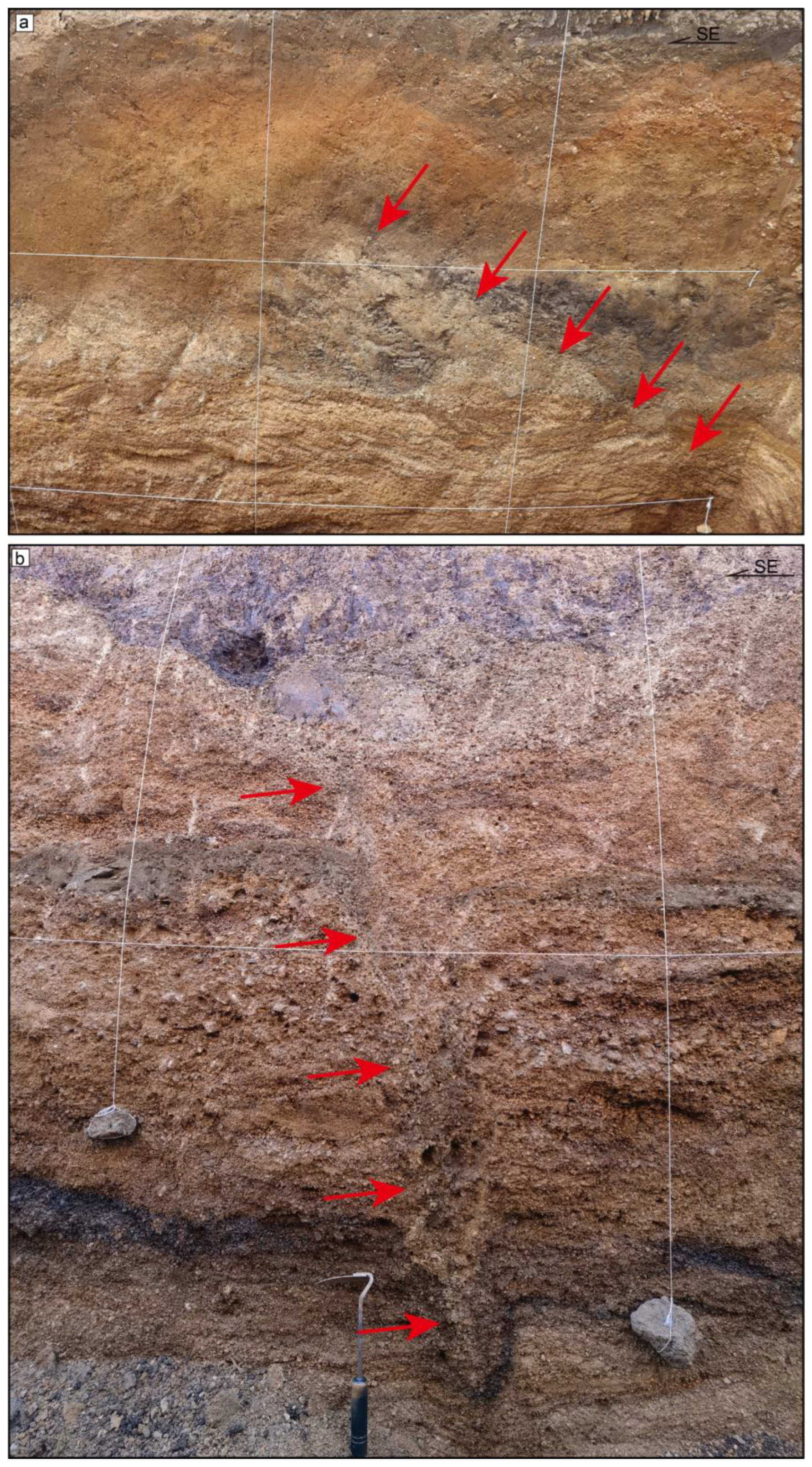 Sustainability 16 01943 g014