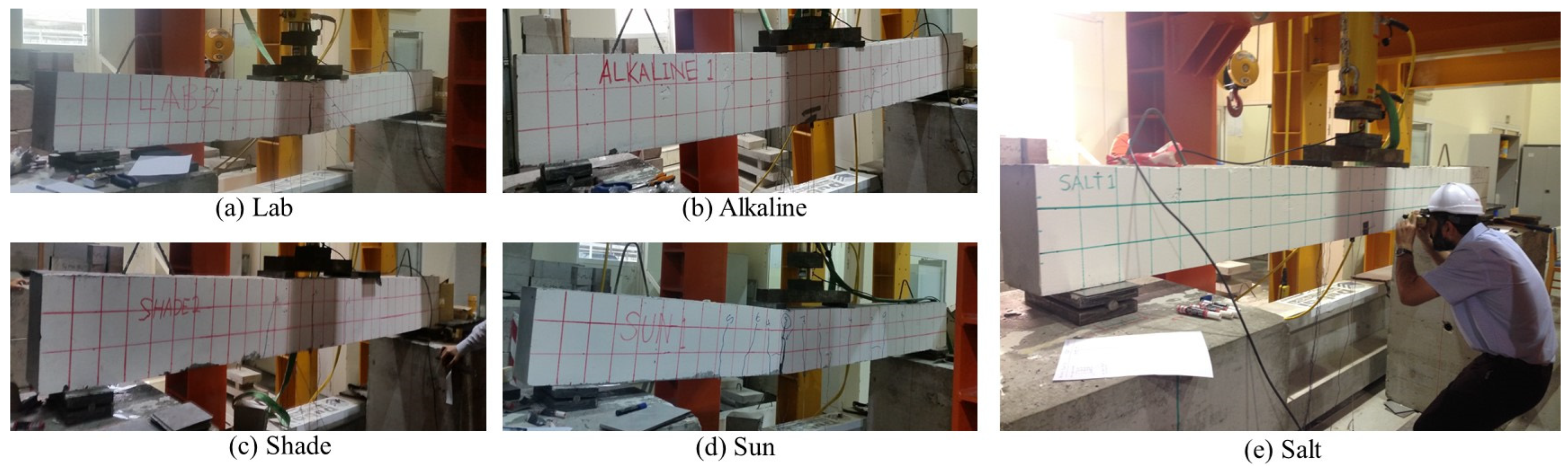 Sustainability 16 01944 g006