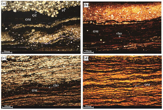 Hydrogen Gas Adsorption of the Triassic Chang 7 Shale Member