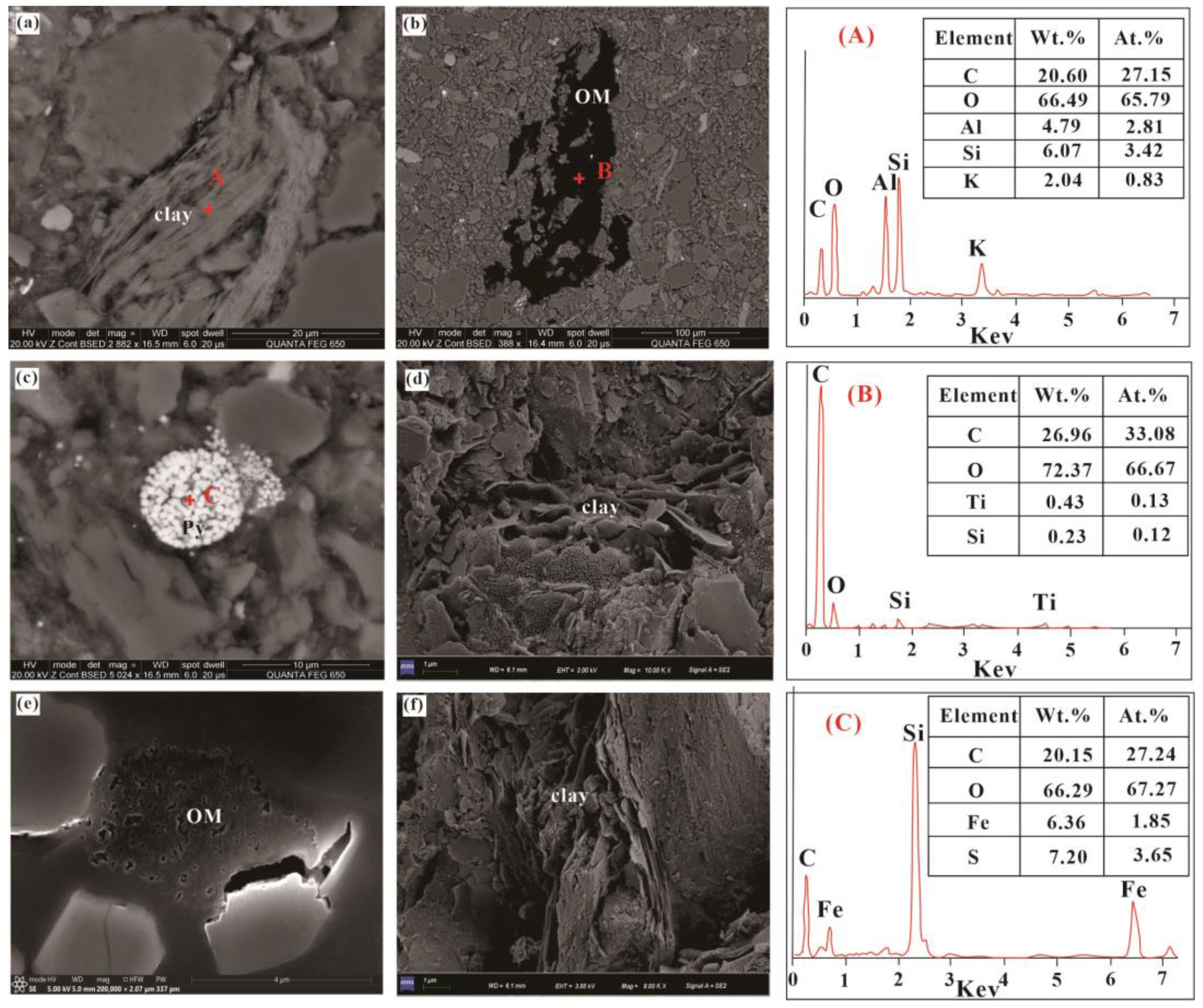 Sustainability 16 01960 g004