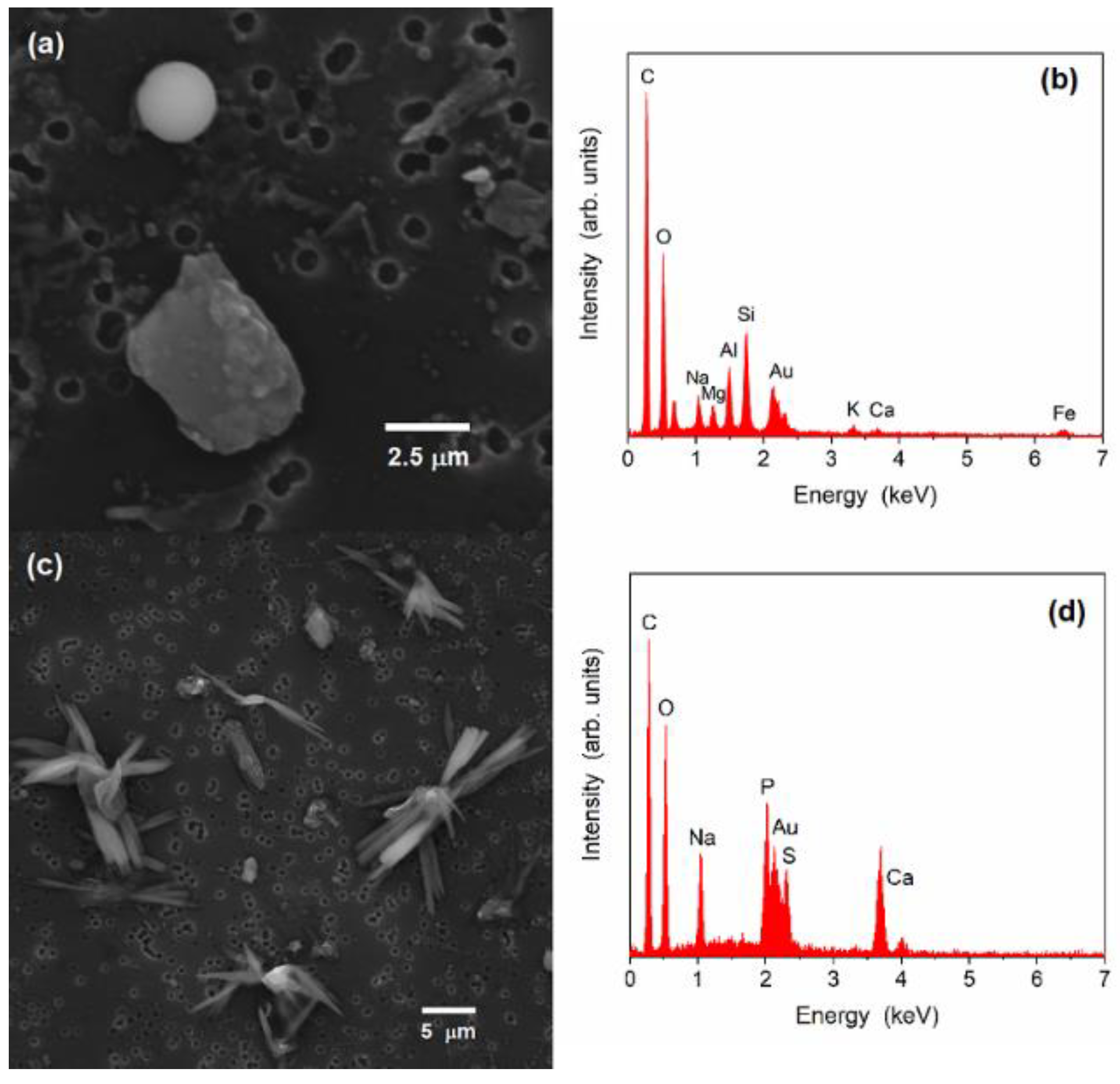 Sustainability 16 01978 g003