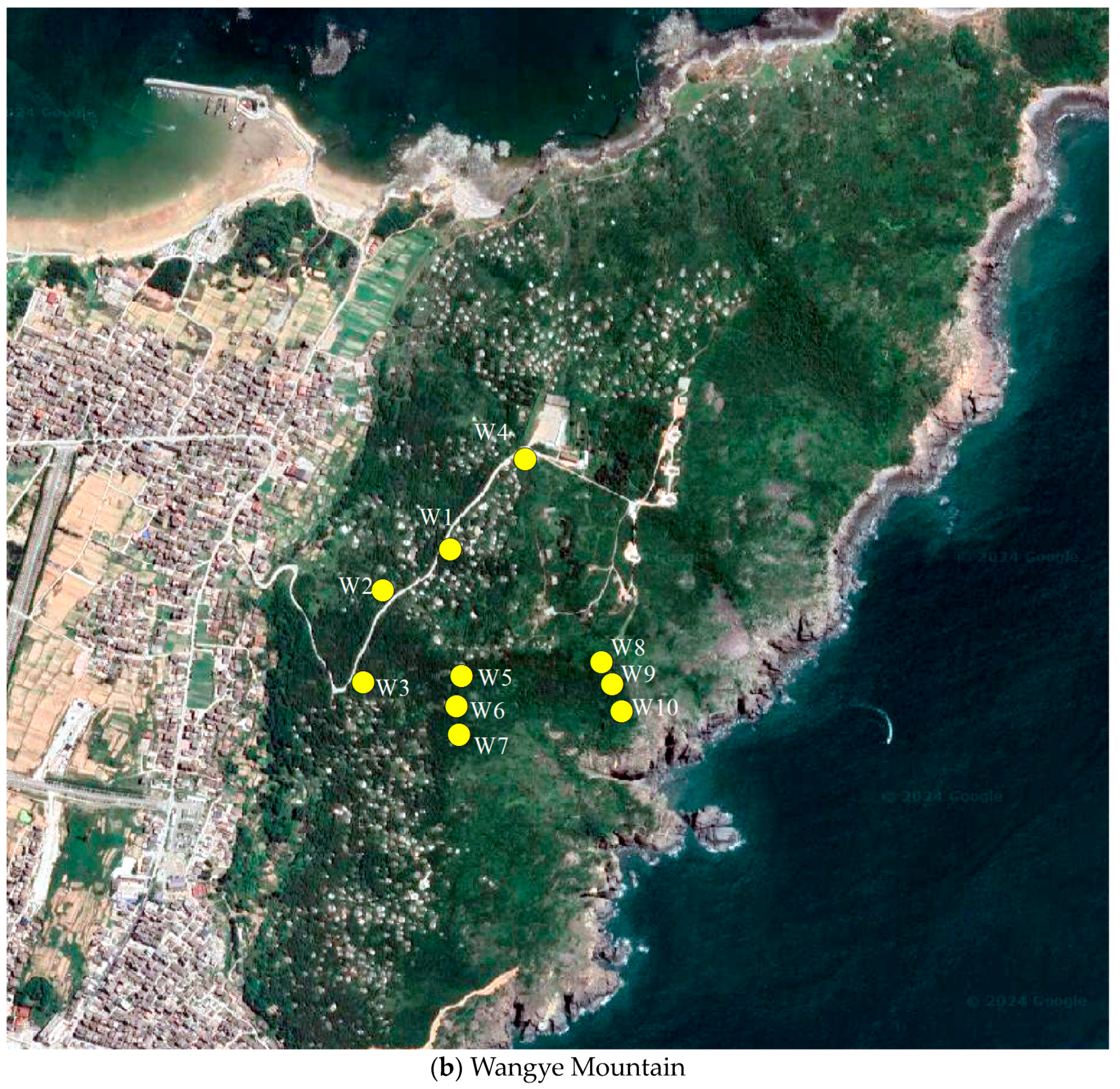 Sustainability 16 01988 g003b