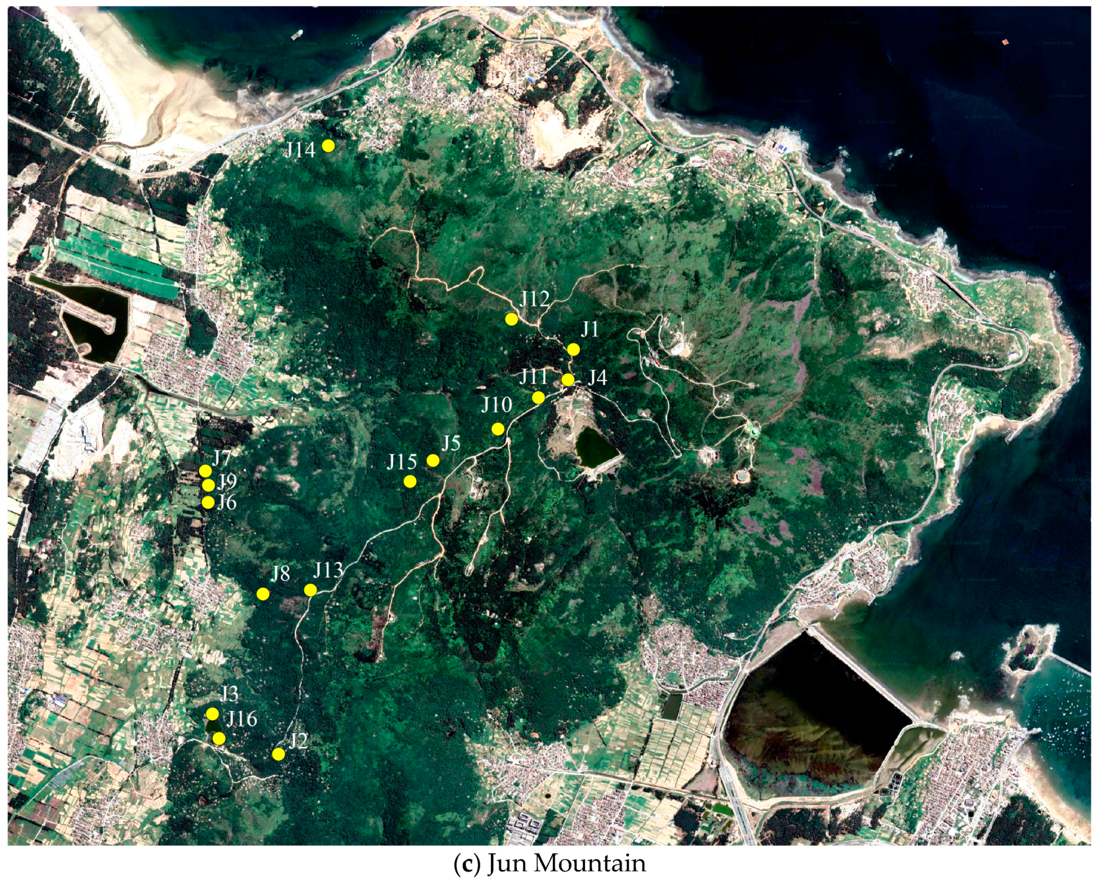 Sustainability 16 01988 g003c