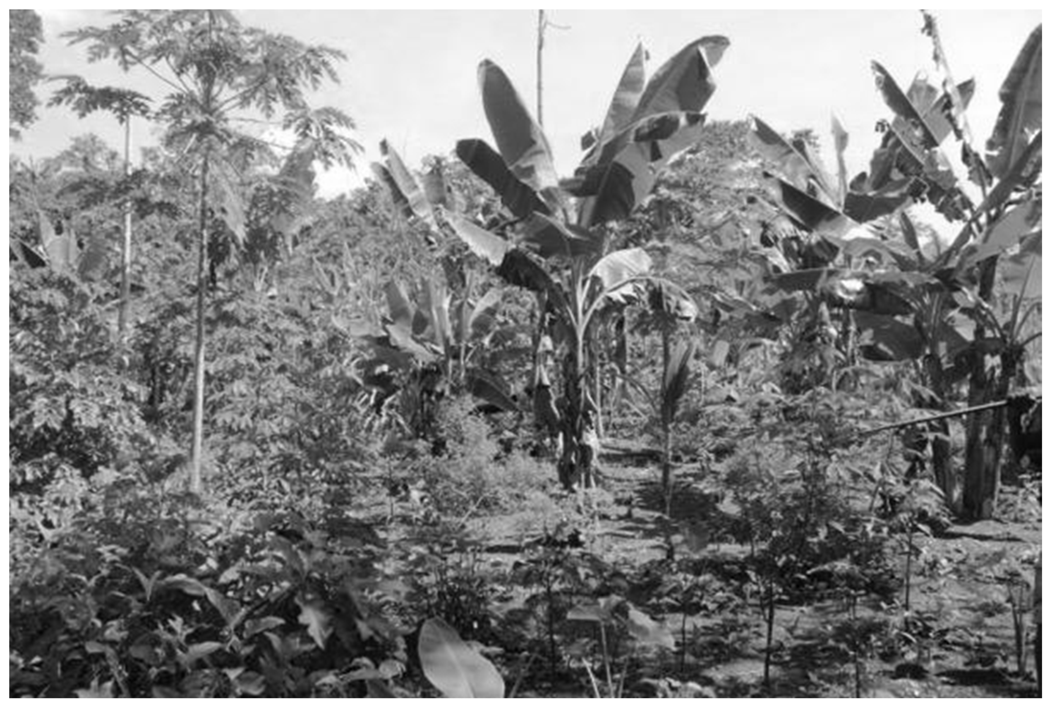 Sustainability 16 01996 g003