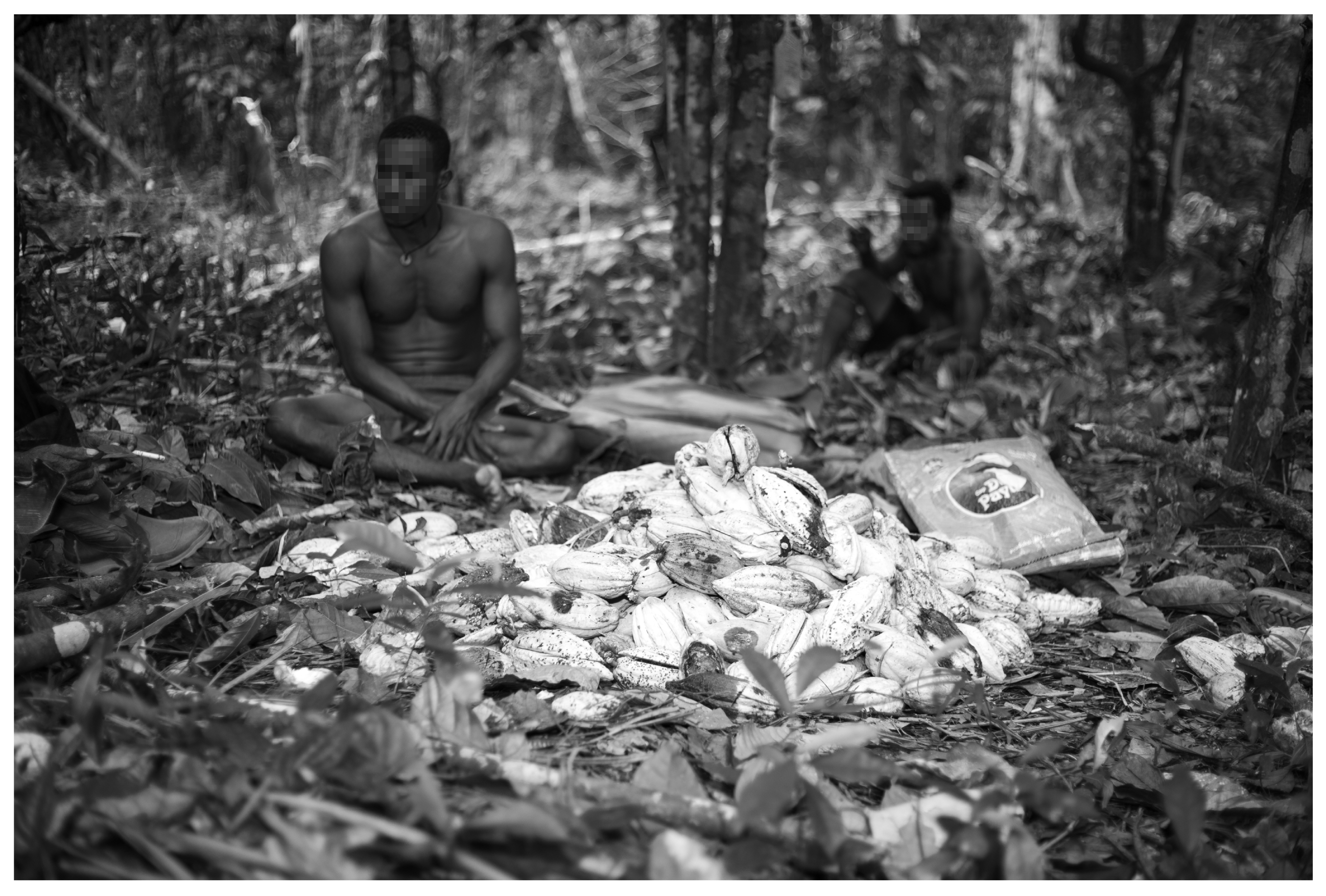 Sustainability 16 01996 g008