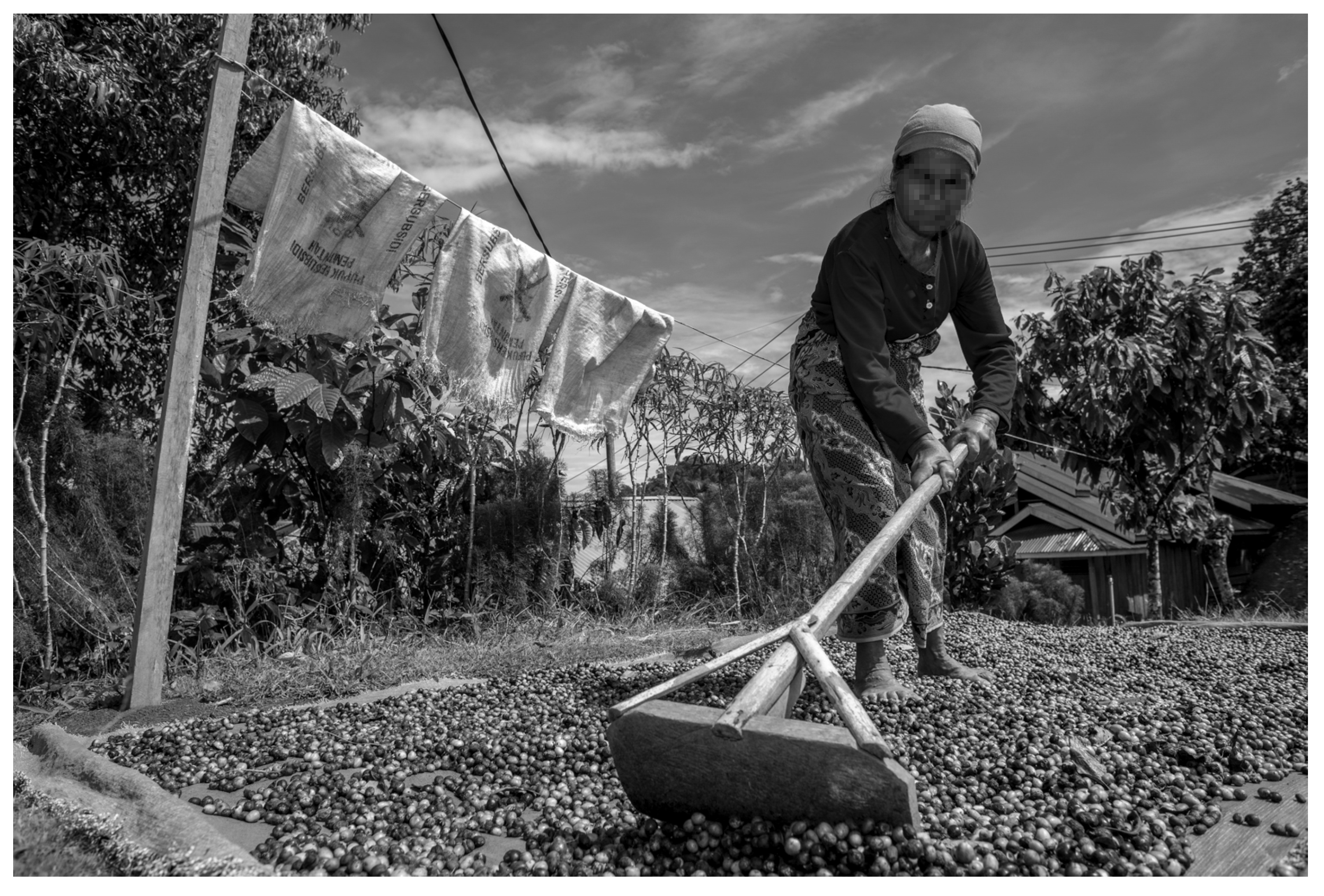 Sustainability 16 01996 g011