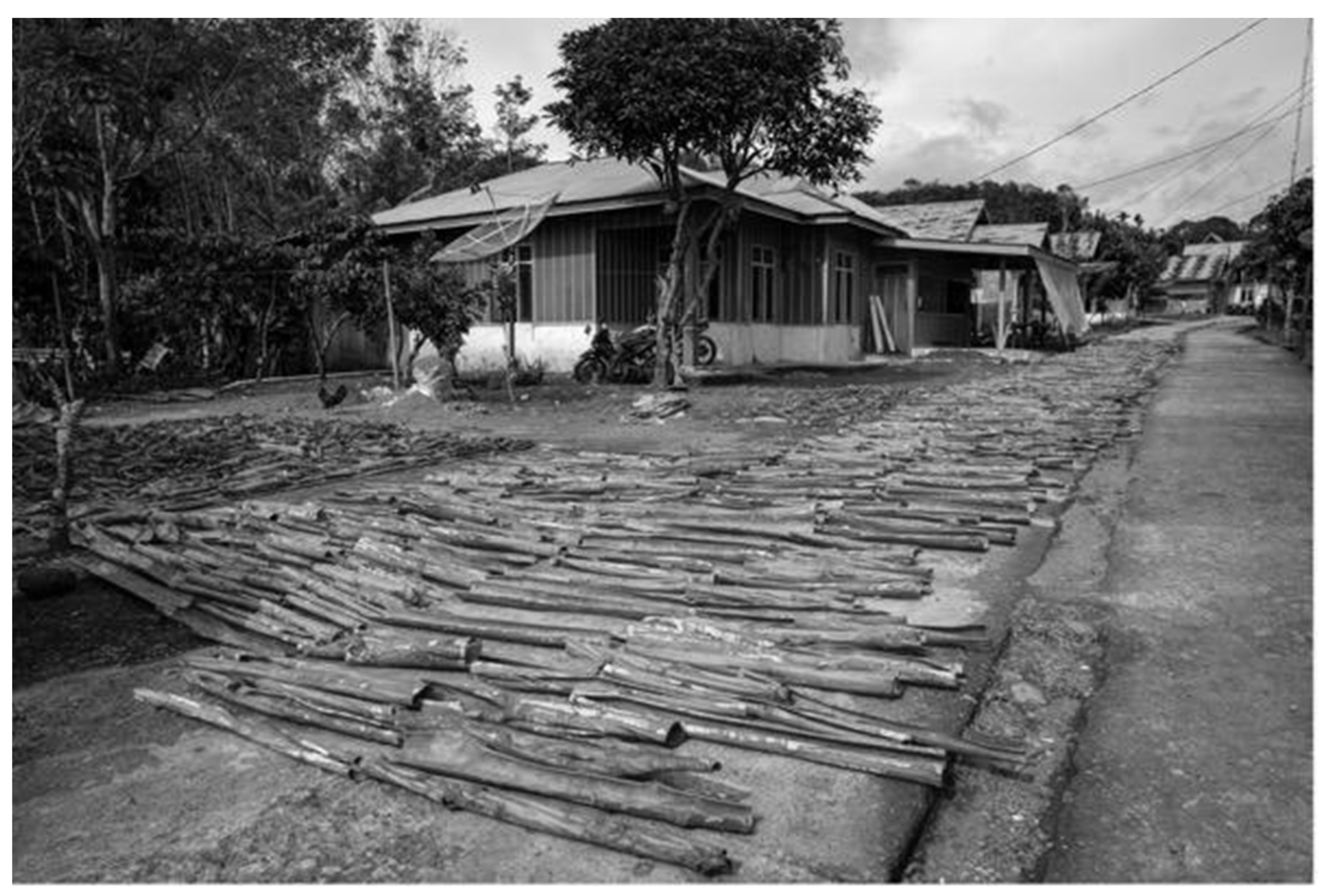 Sustainability 16 01996 g012