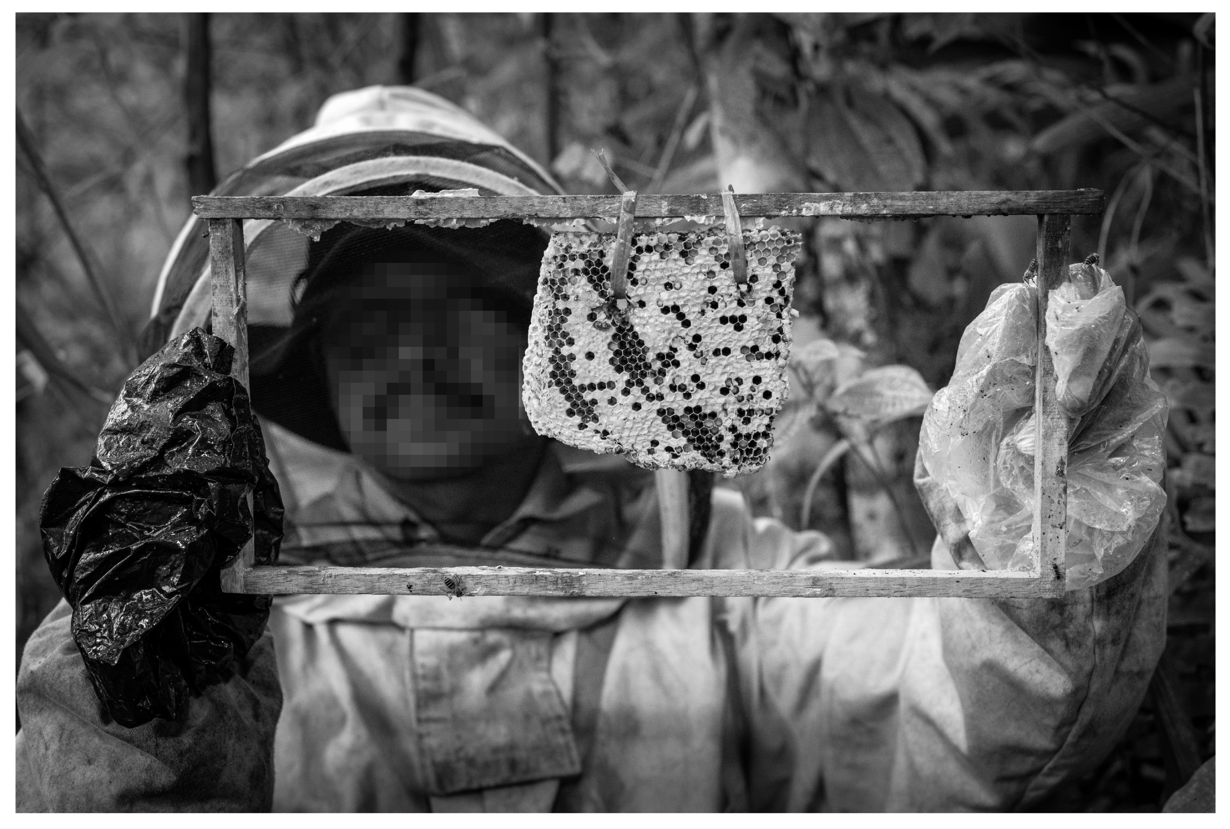 Sustainability 16 01996 g014