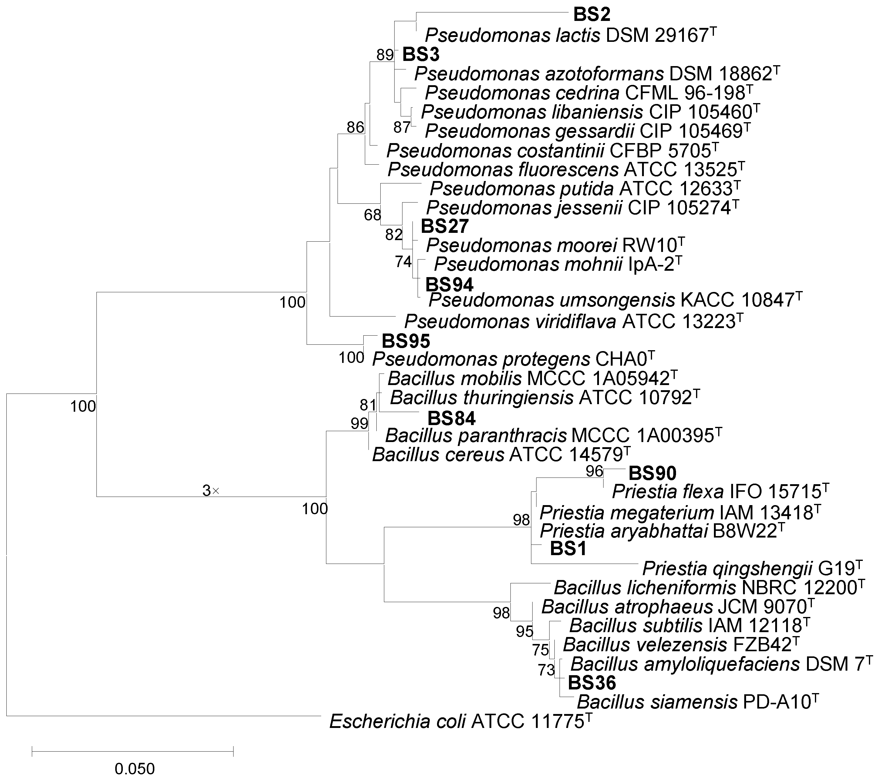 Sustainability 16 02006 g001