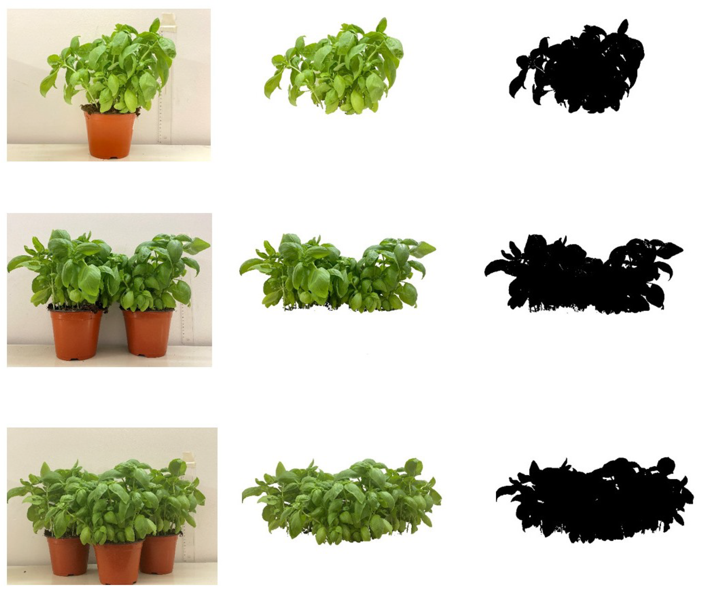 Sustainability 16 02010 g004