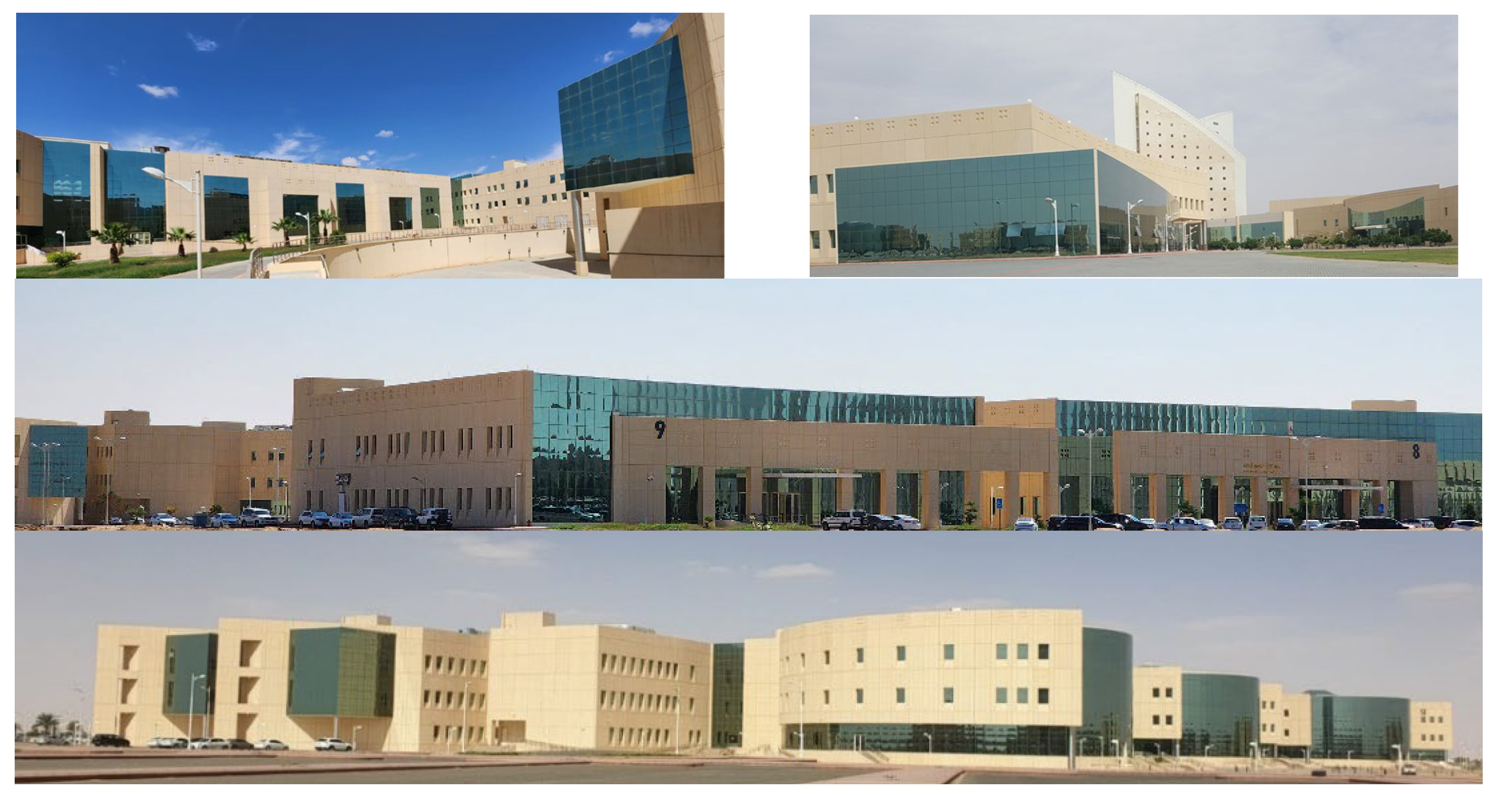 Sustainability 16 02030 g001