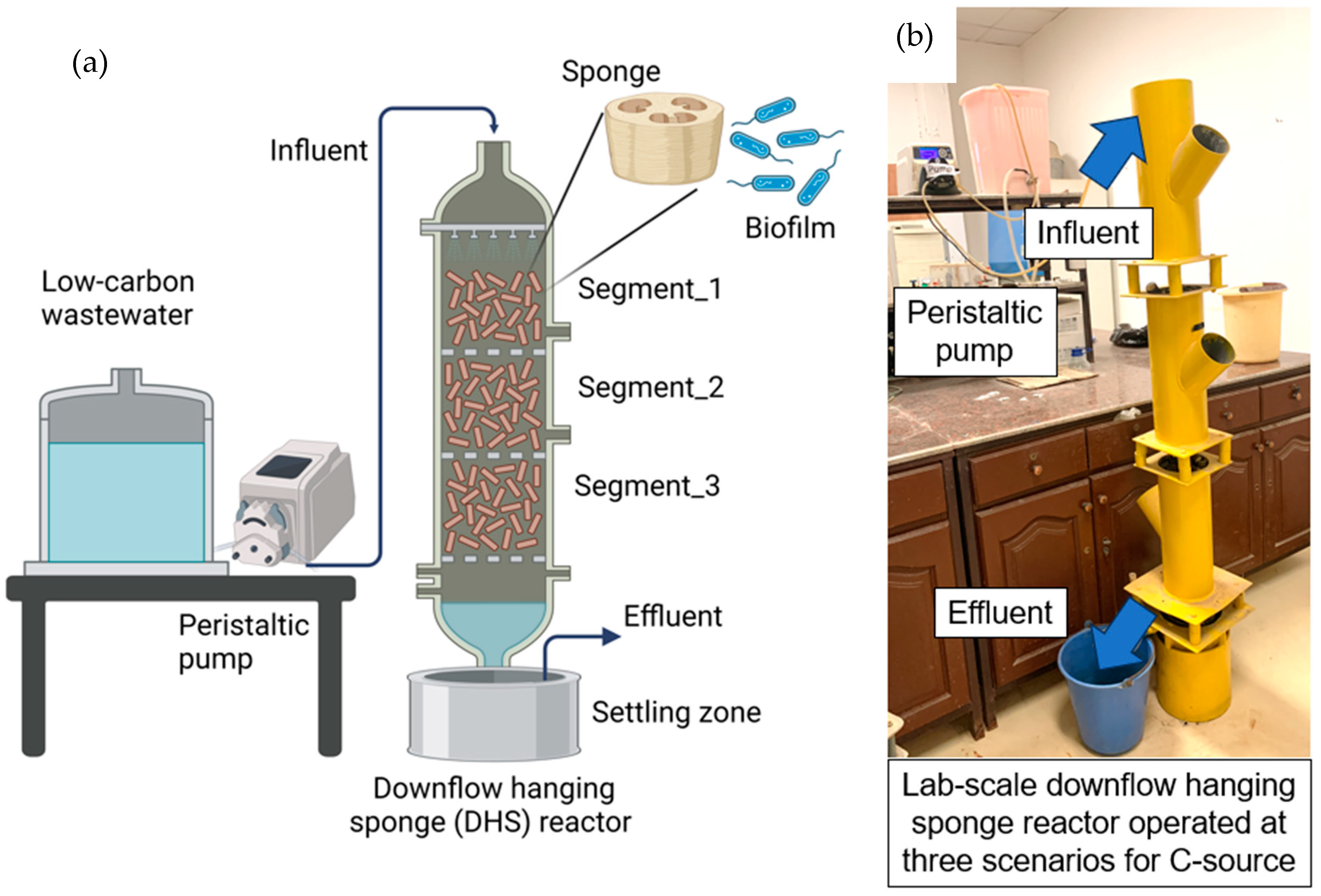 Sustainability 16 02035 g001