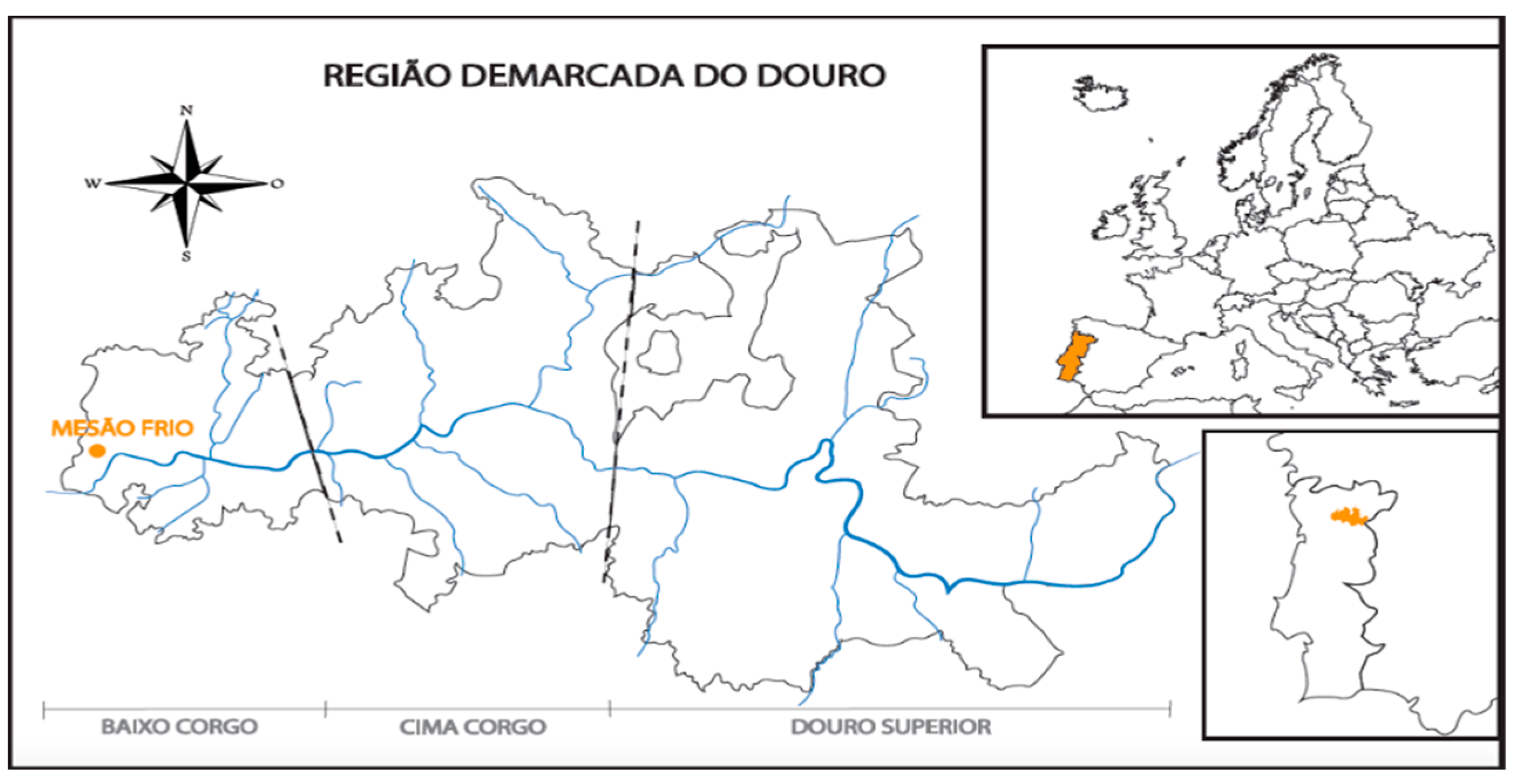 Sustainability 16 02050 g001