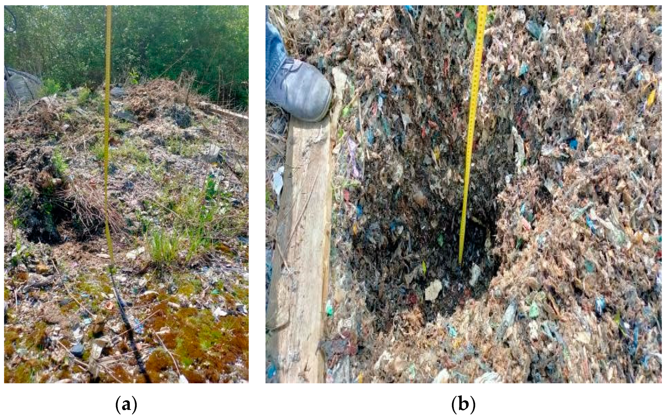 Sustainability 16 02051 g001