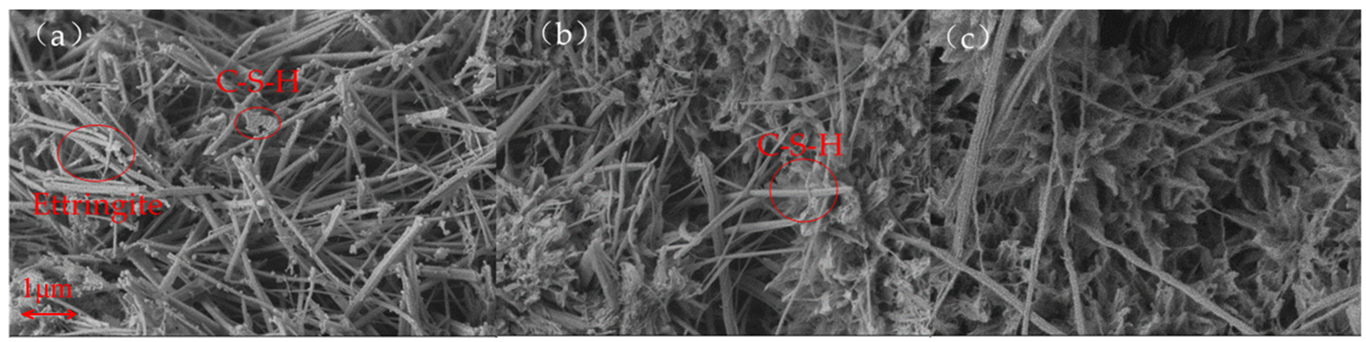 Sustainability 16 02083 g006