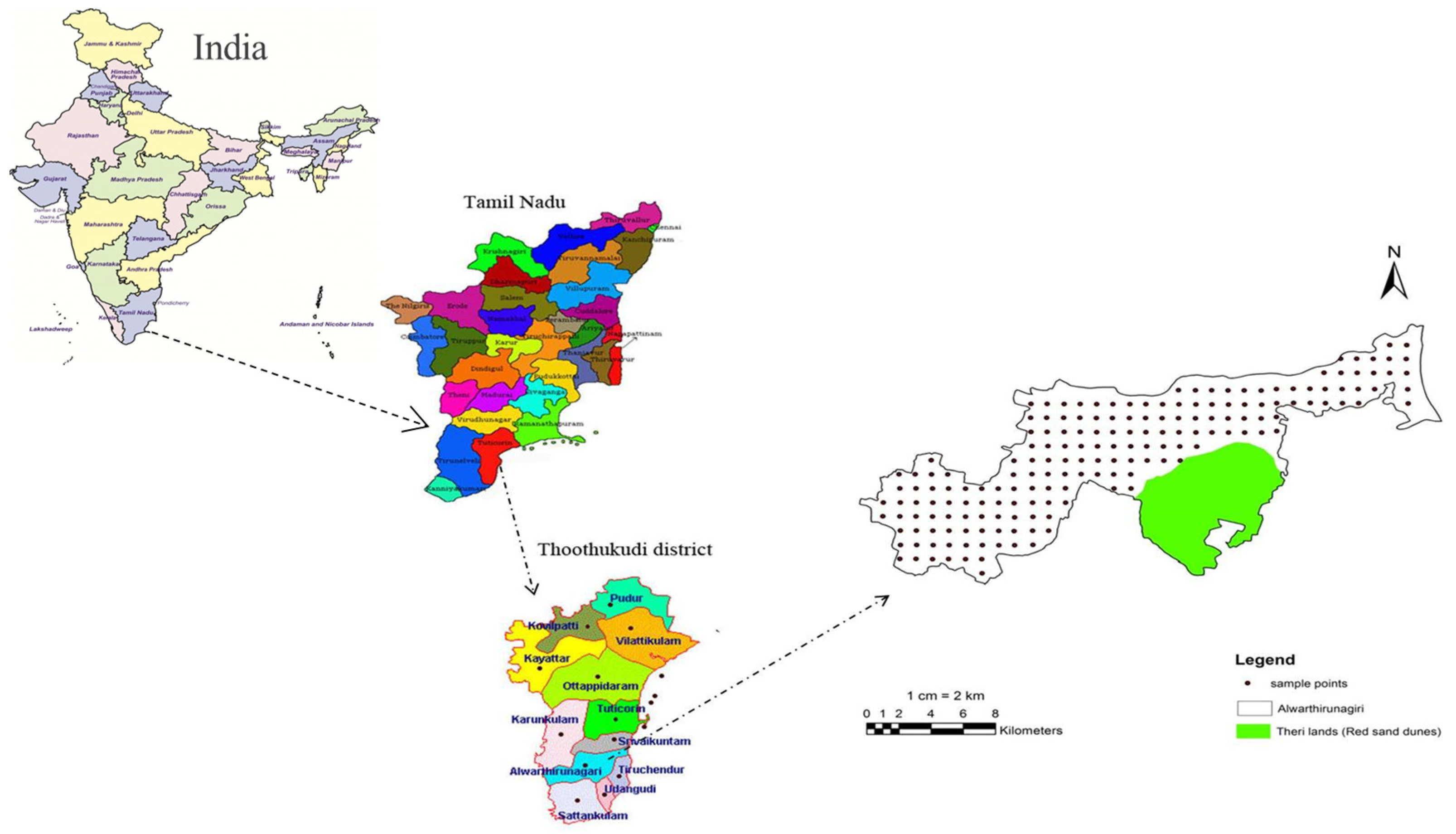 Sustainability 16 02095 g001
