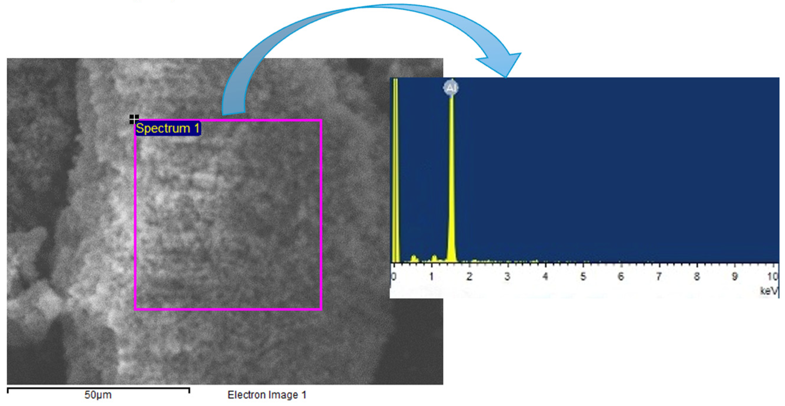 Sustainability 16 02106 g002