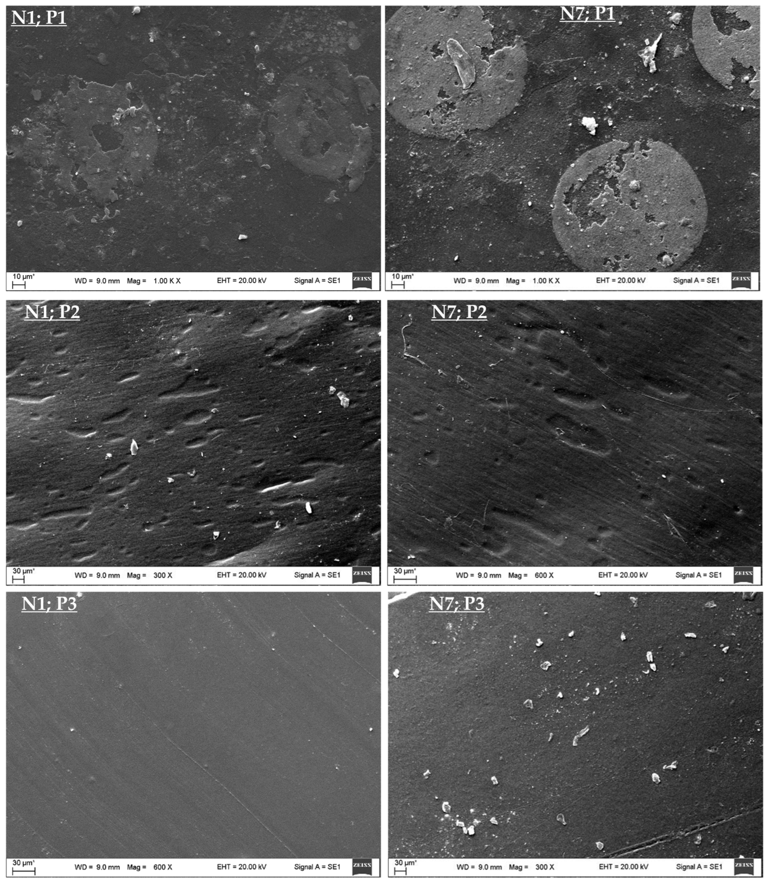 Sustainability 16 02106 g003