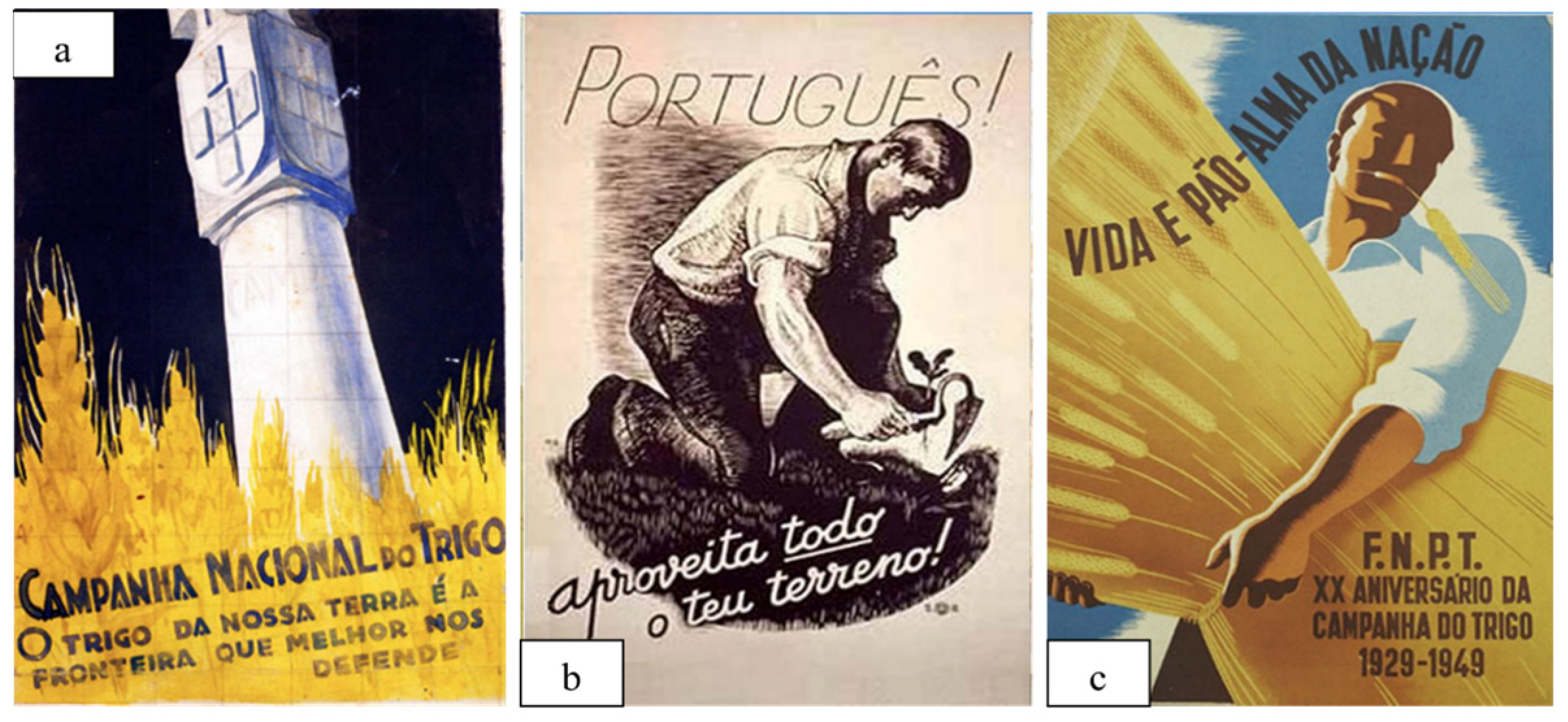 Sustainability 16 02116 g001