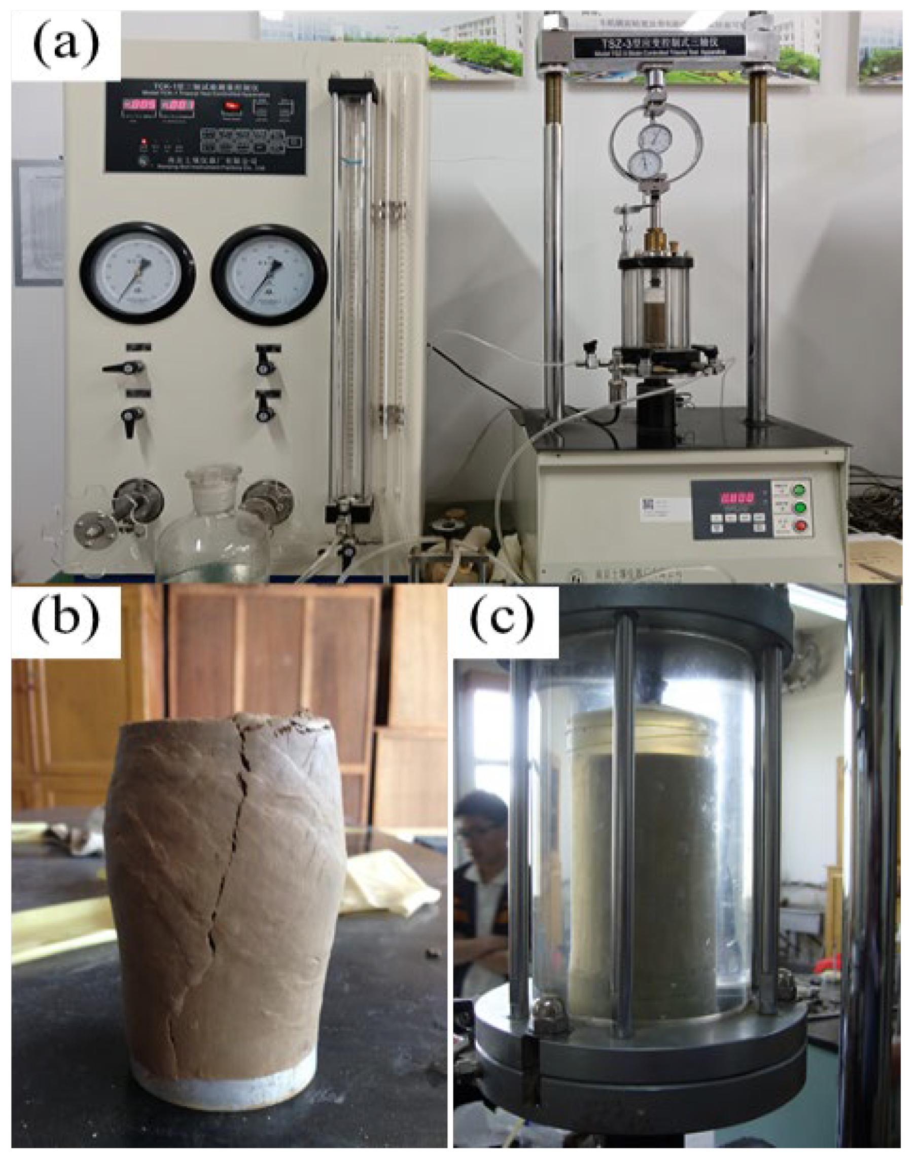Sustainability 16 02120 g001