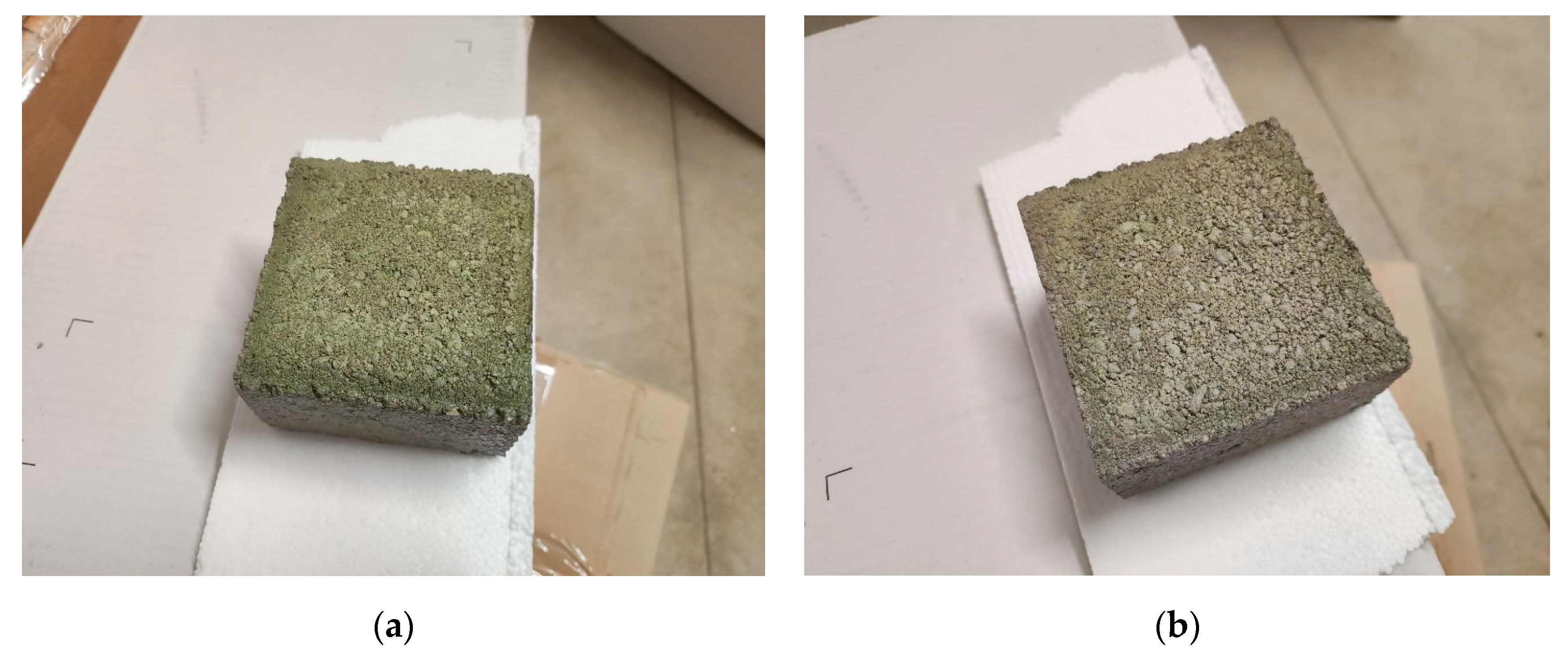 Sustainability 16 02147 g002