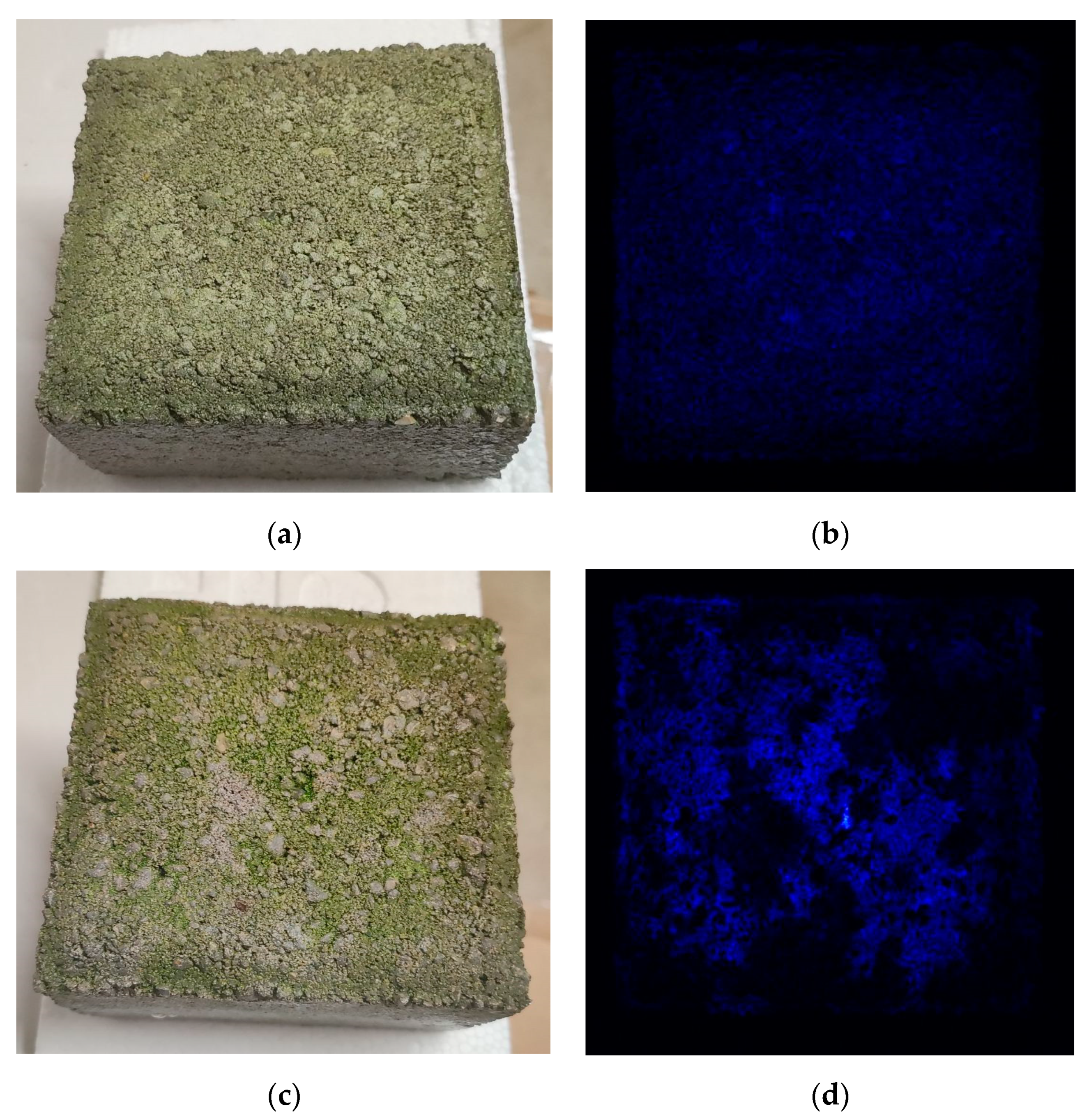 Sustainability 16 02147 g003