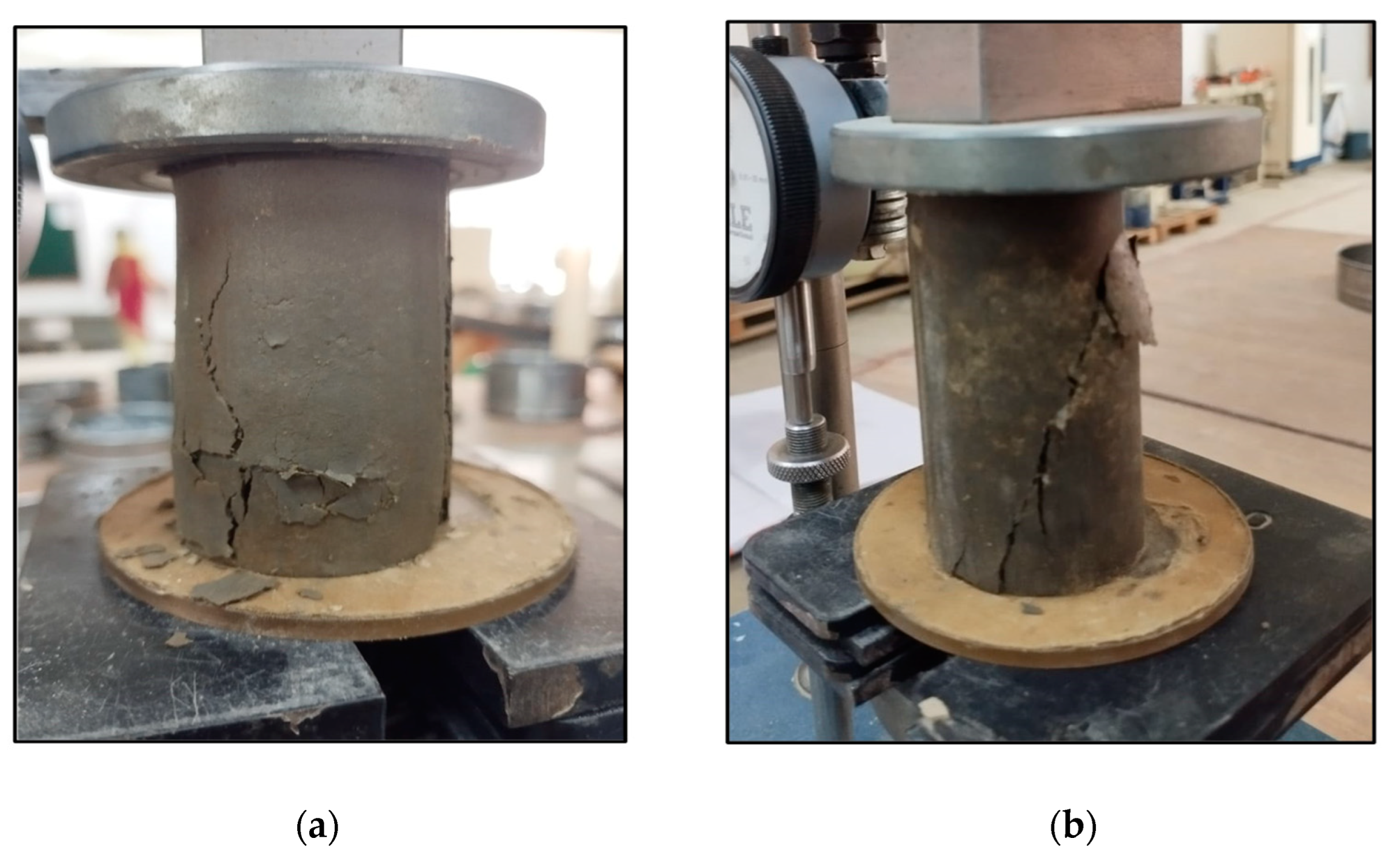 Sustainability 16 02157 g005