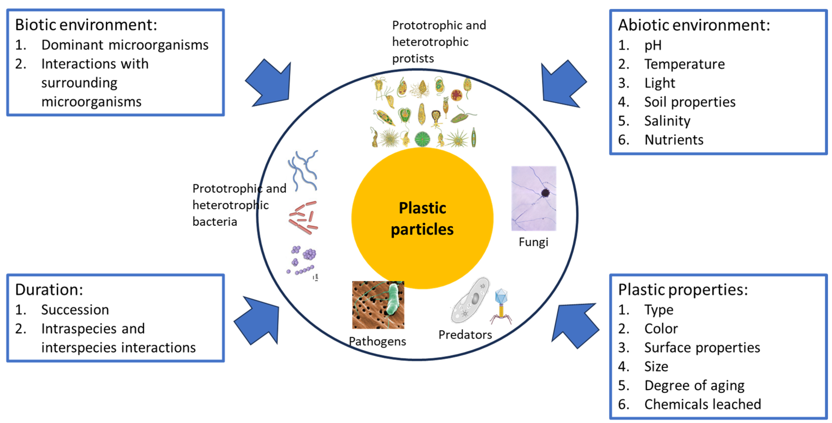 Sustainability 16 02163 g001 Sustainability 16 02163 g001