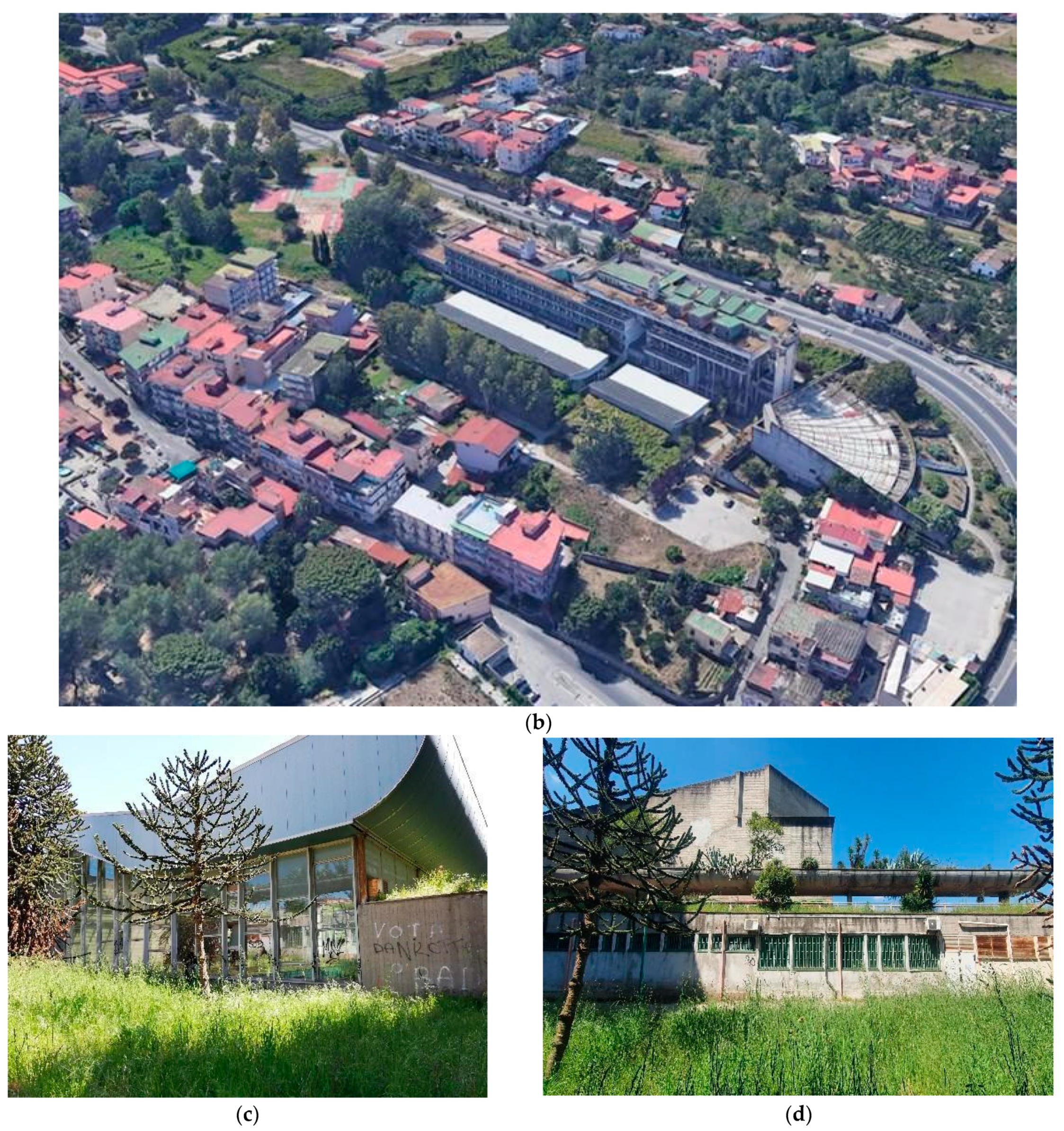 Sustainability 16 02179 g002b