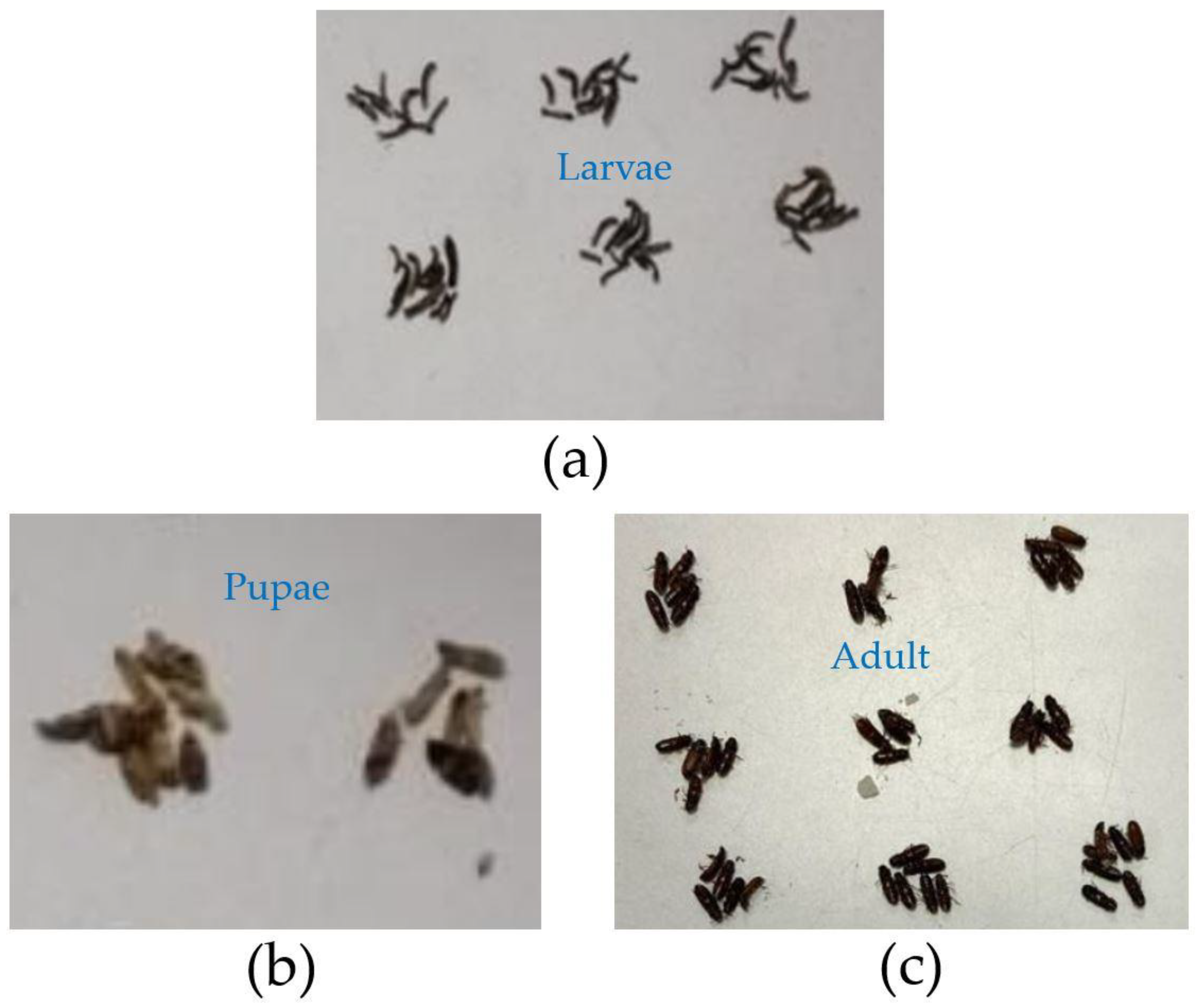 Sustainability 16 02187 g019
