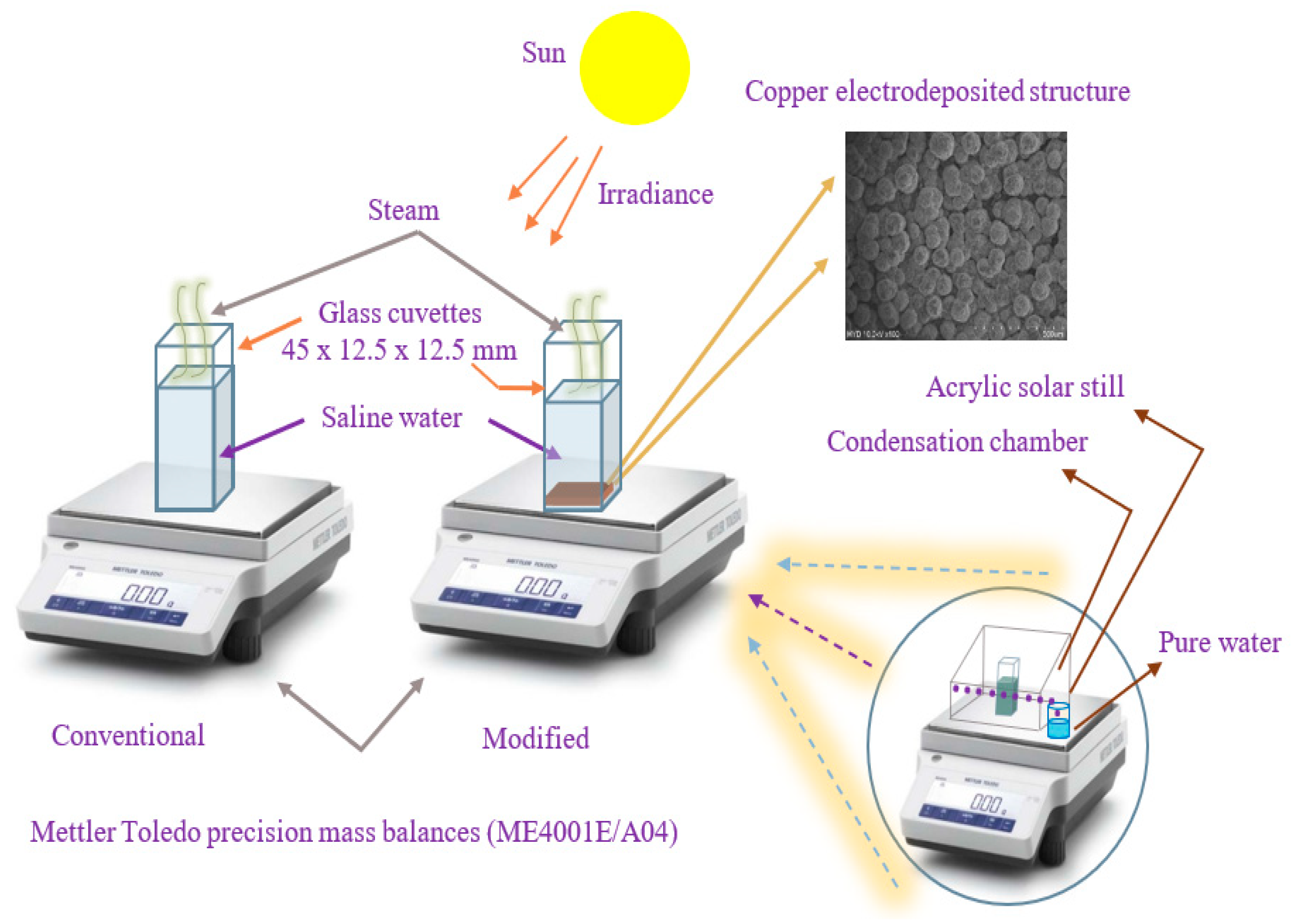 Sustainability 16 02220 g005
