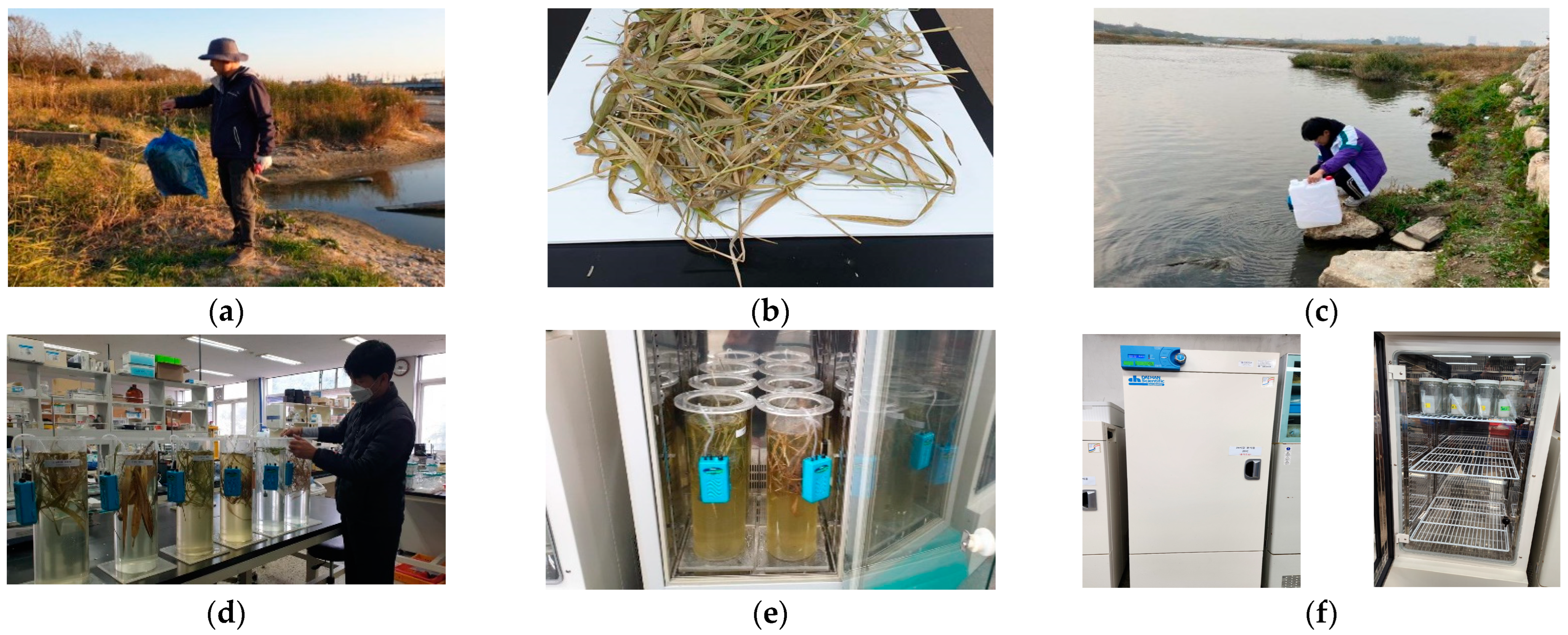 Sustainability 16 02263 g002