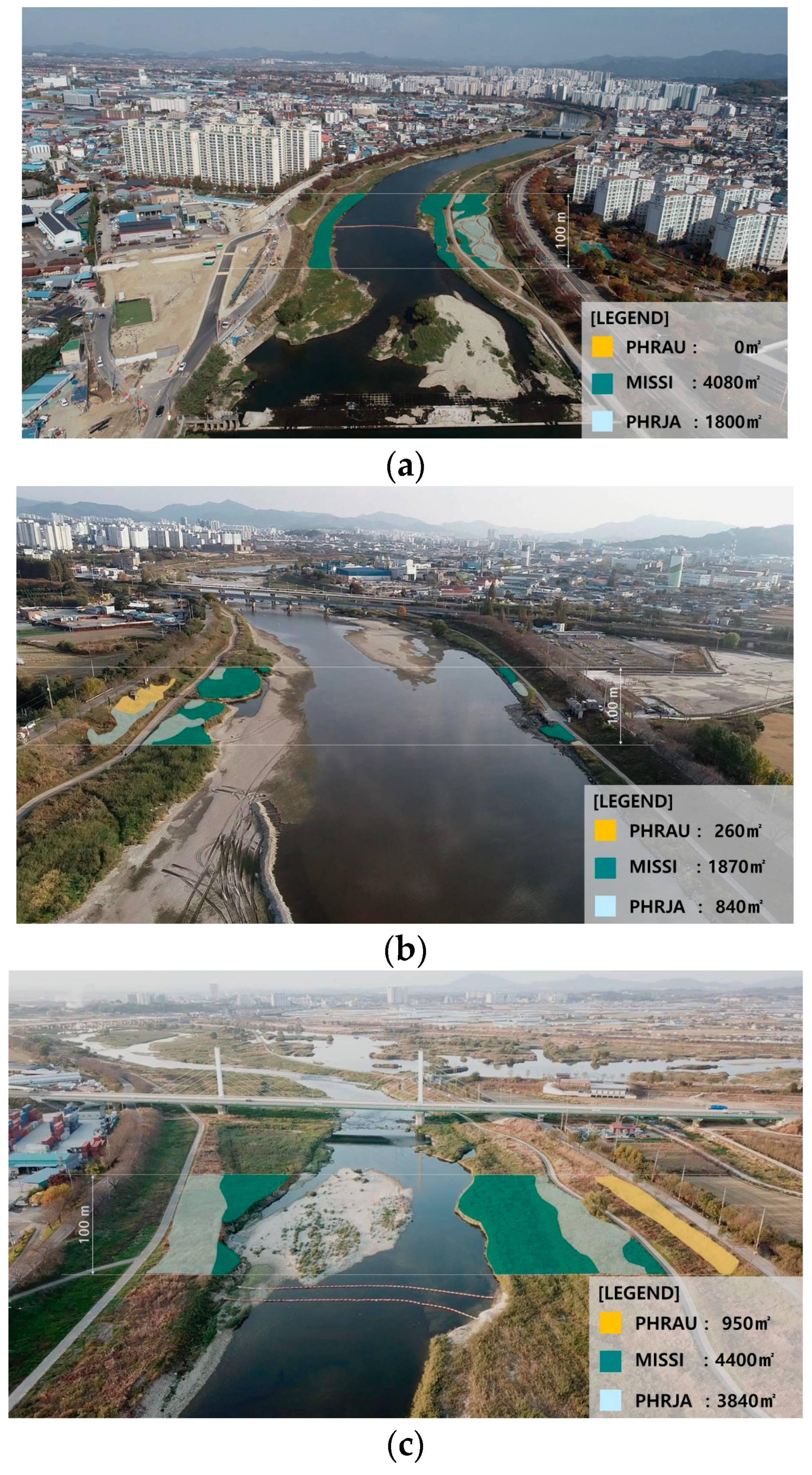 Sustainability 16 02263 g004