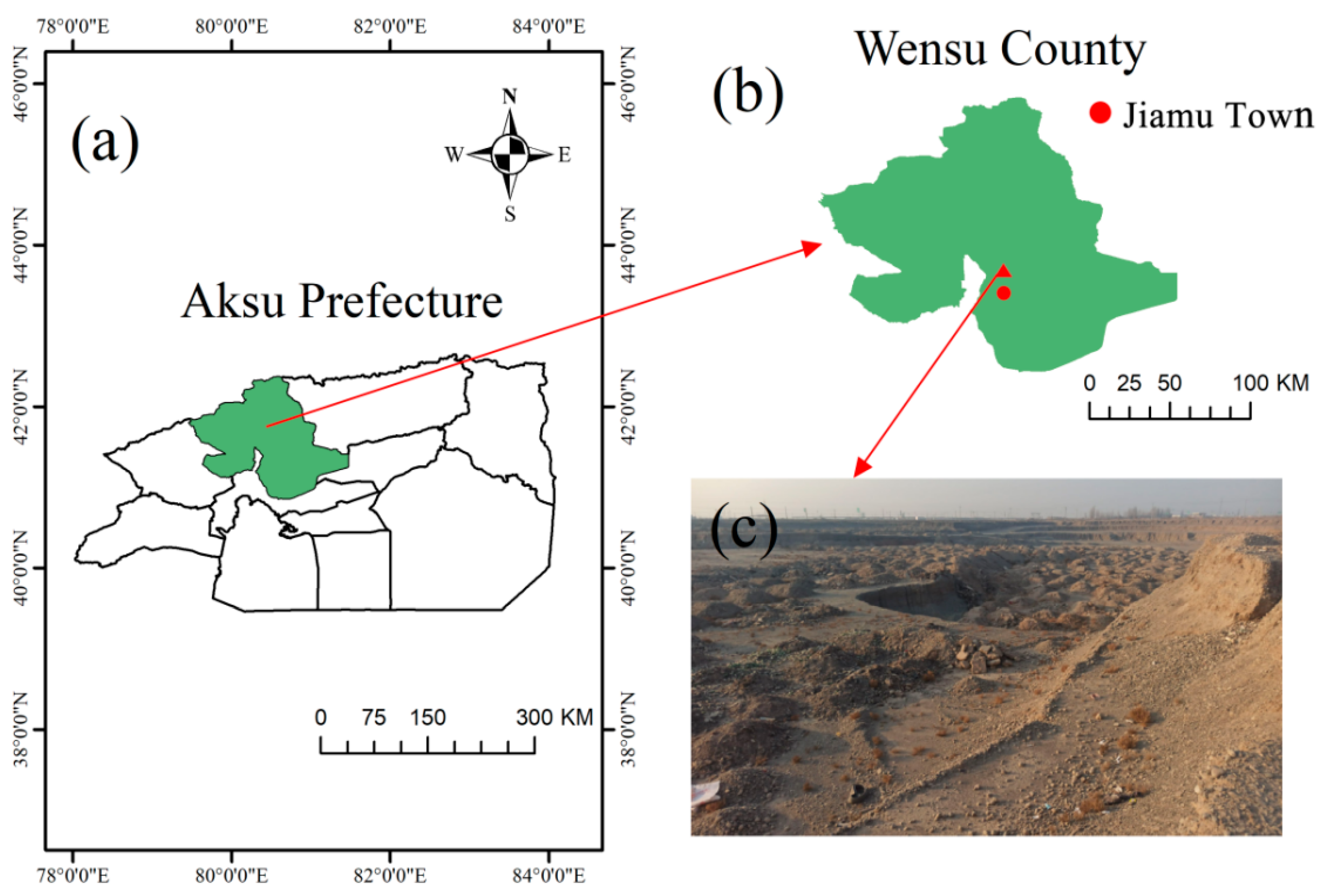 Sustainability 16 02266 g003