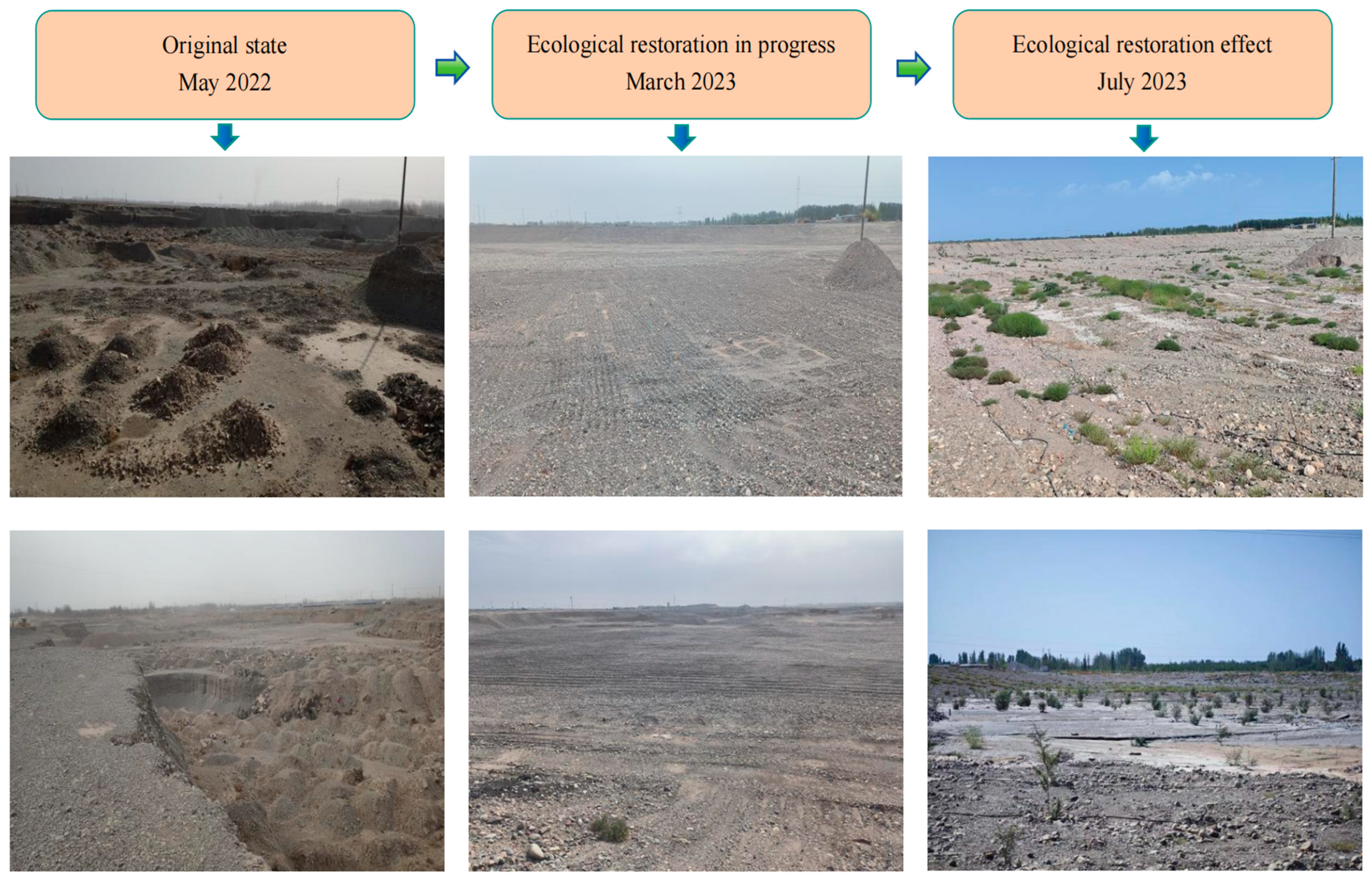 Sustainability 16 02266 g006