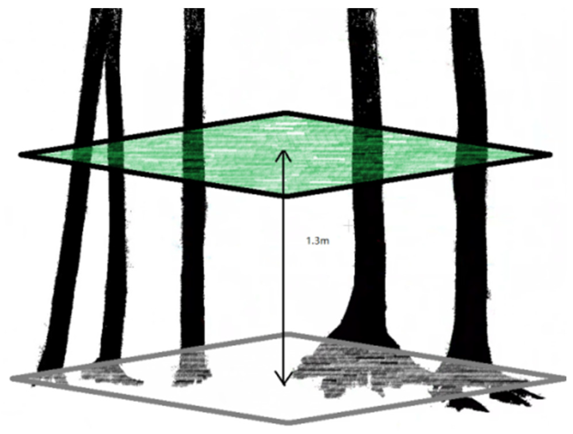 Sustainability 16 02275 g004
