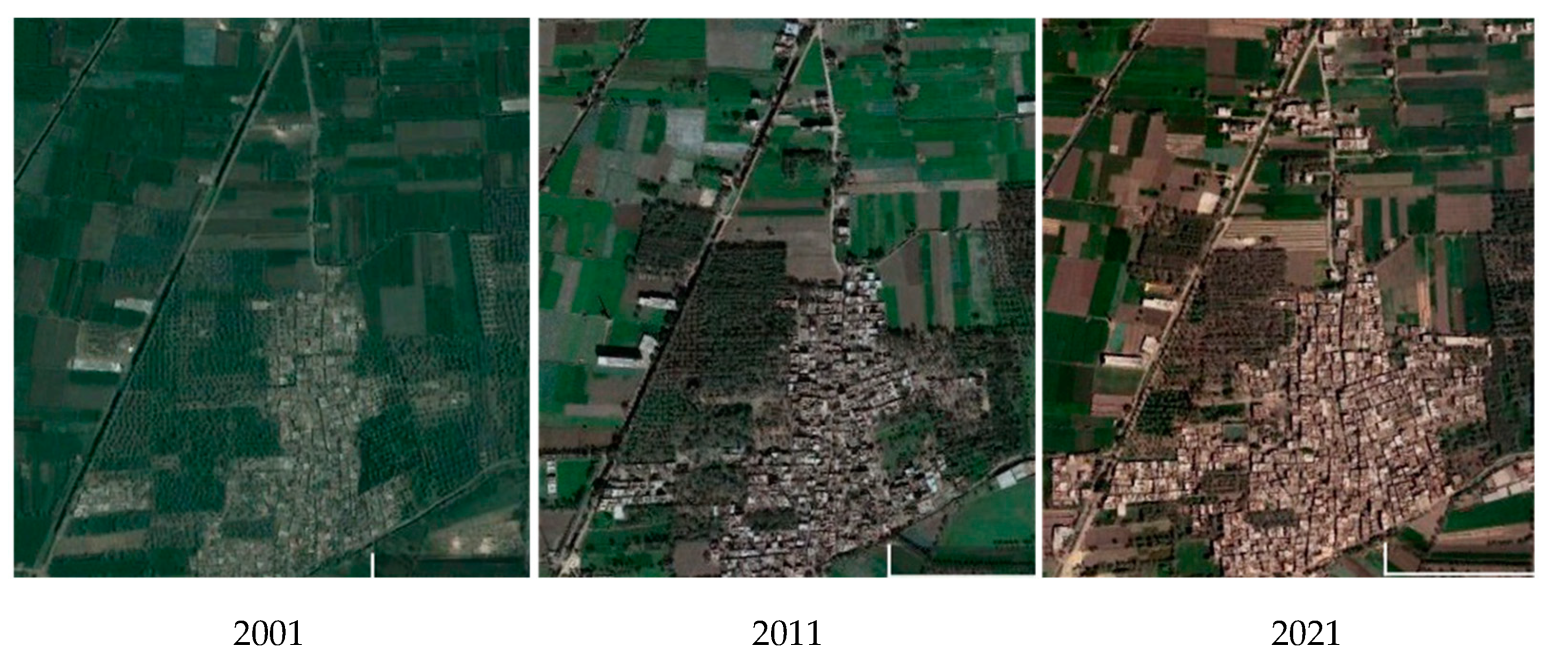 Sustainability 16 02316 g006