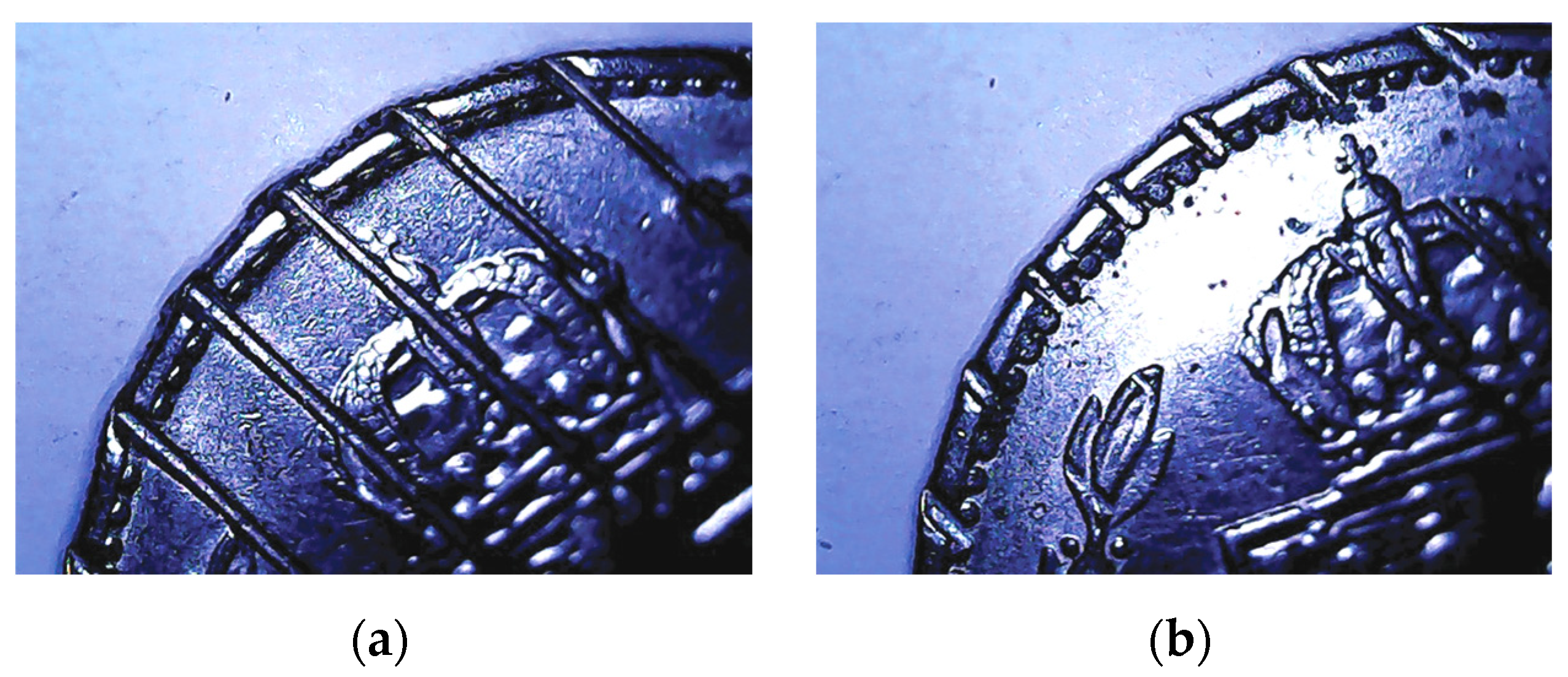 Sustainability 16 02322 g004