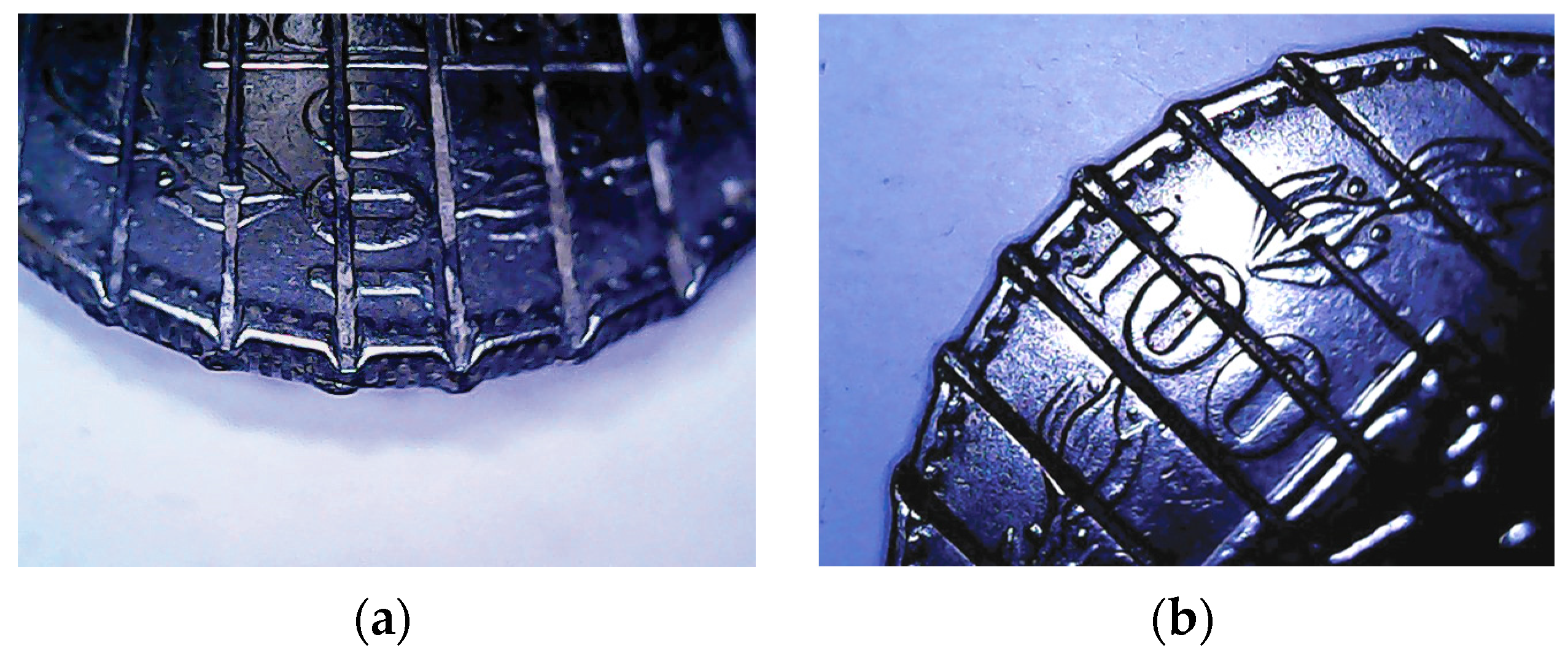 Sustainability 16 02322 g010